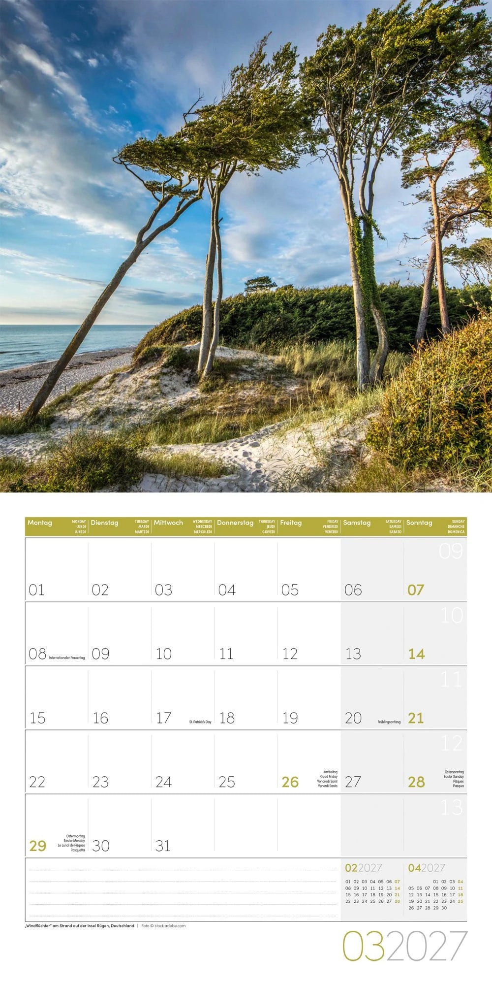 Bäume Kalender 2027 - 30x30 - Art12 – Ansicht