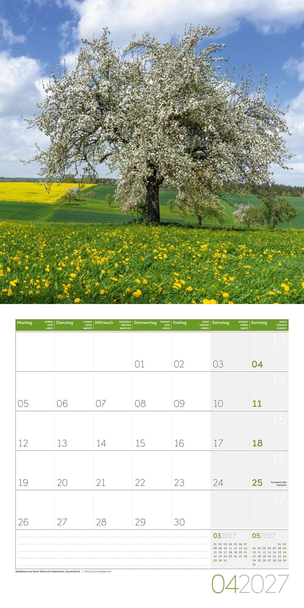 Bäume Kalender 2027 - 30x30 - Art12 – Ansicht