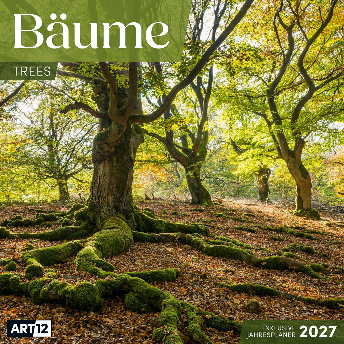 Wandkalender: Bäume Kalender 2027 - 30x30 - Art12
