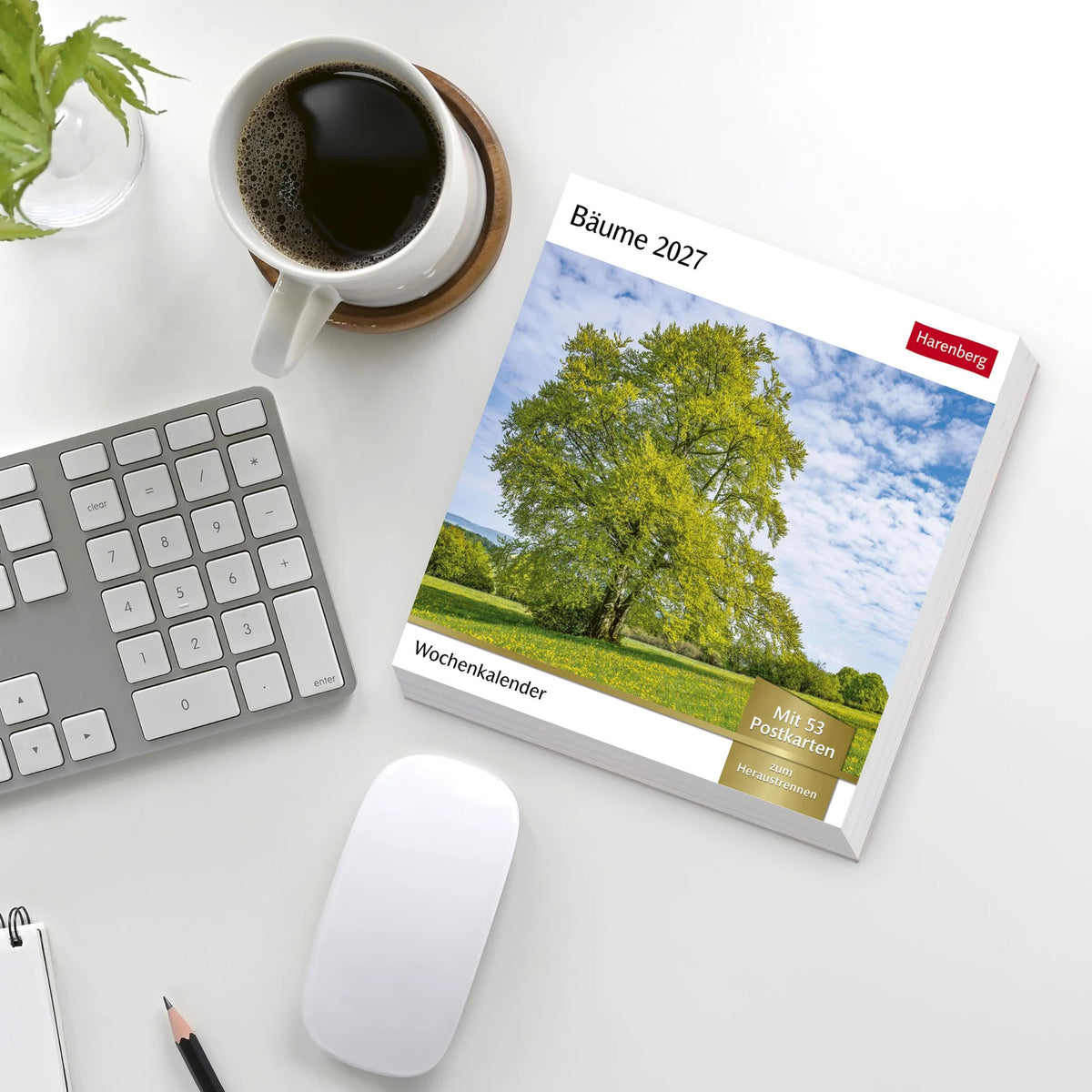 Bäume Postkartenkalender 2027 - Wochenkalender mit 53 Postkarten – Ansicht