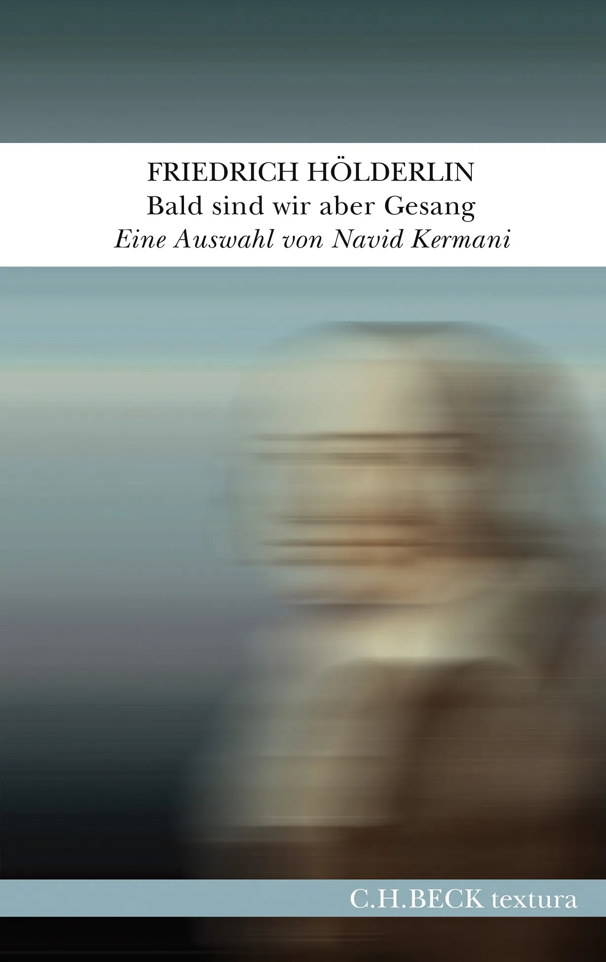 Buchcover von 'Bald sind wir aber Gesang' - Gebundene Ausgabe von Friedrich Hölderlin