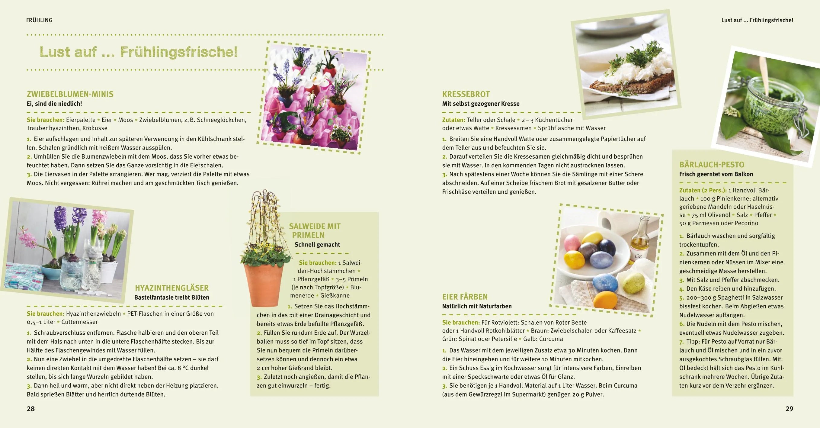 Abbildung von 'Balkon Basics'
