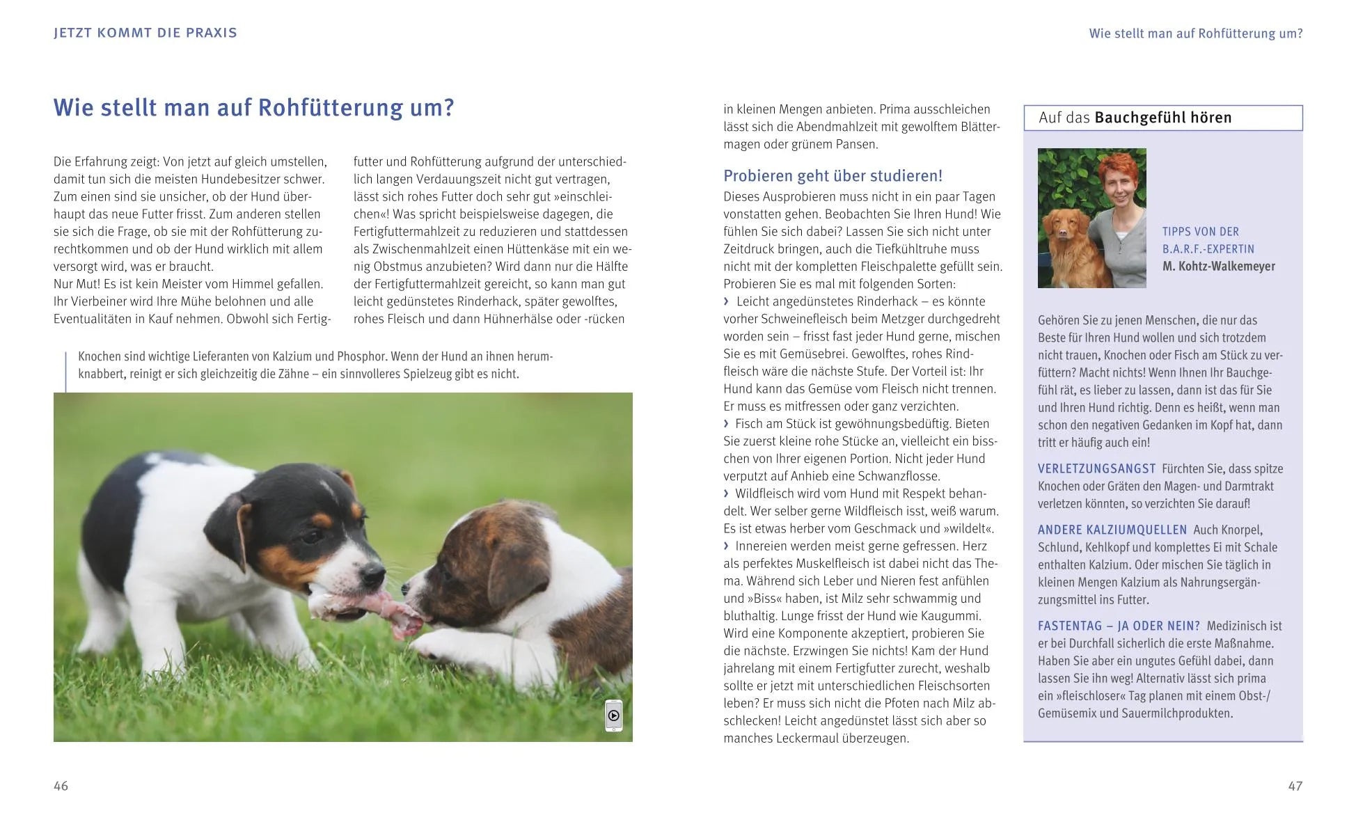Produktansicht: BARF für Hunde (Taschenbuch)