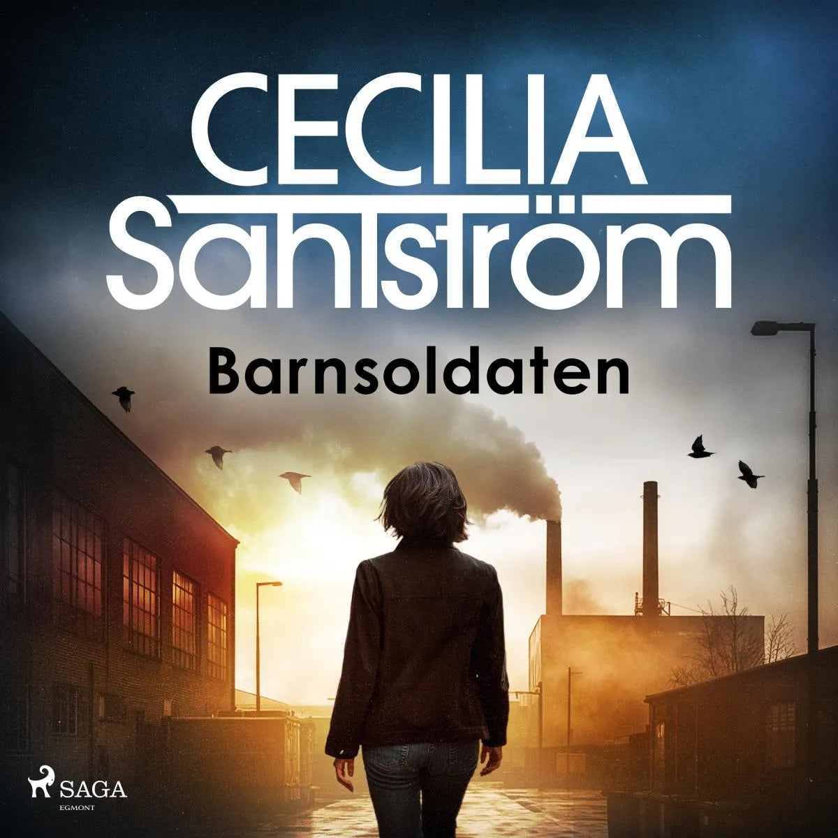 Cover: Barnsoldaten (Hörbuch Download) von Cecilia Sahlström