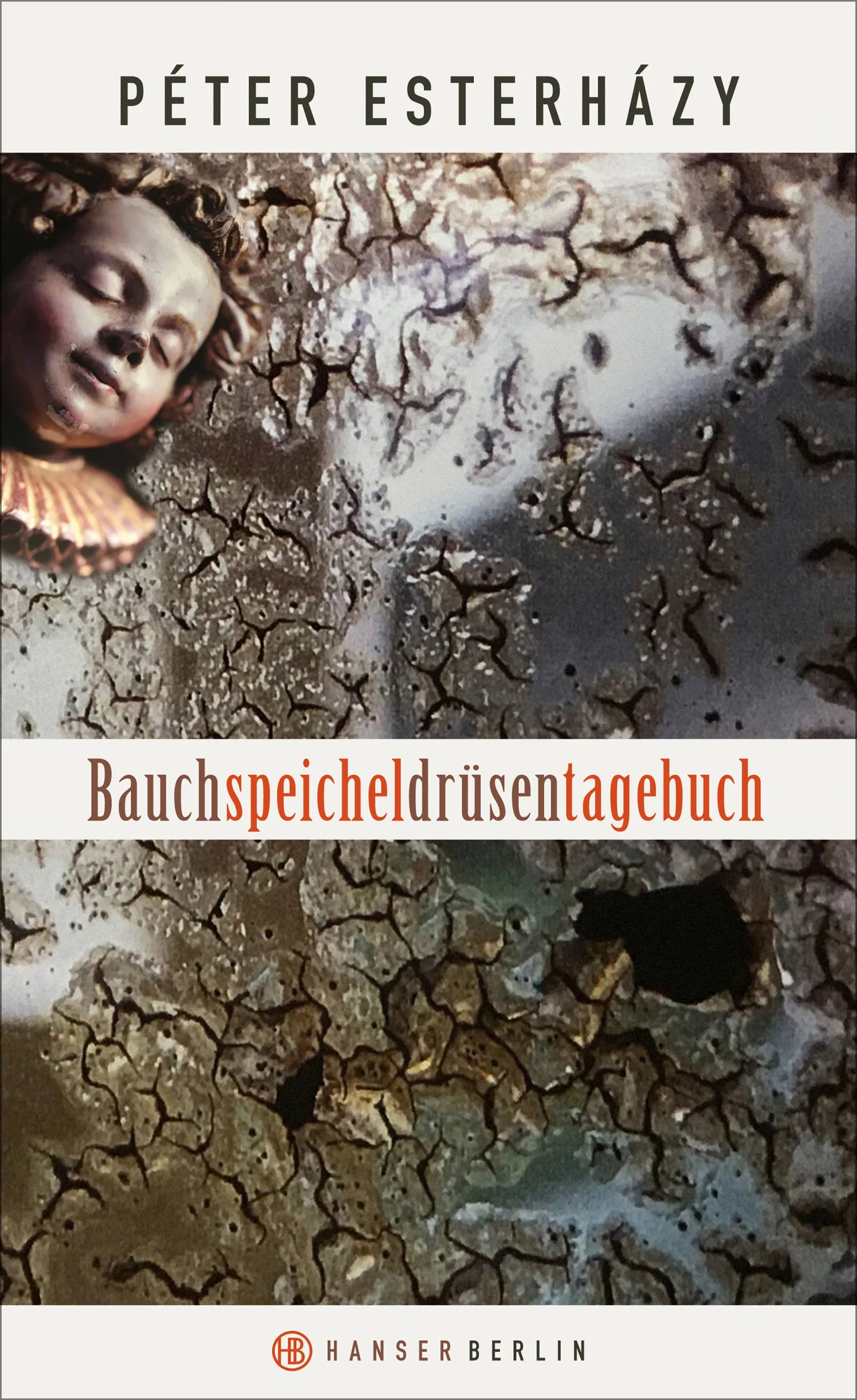 Buchcover von 'Bauchspeicheldrüsentagebuch' - Gebundene Ausgabe von Péter Esterházy