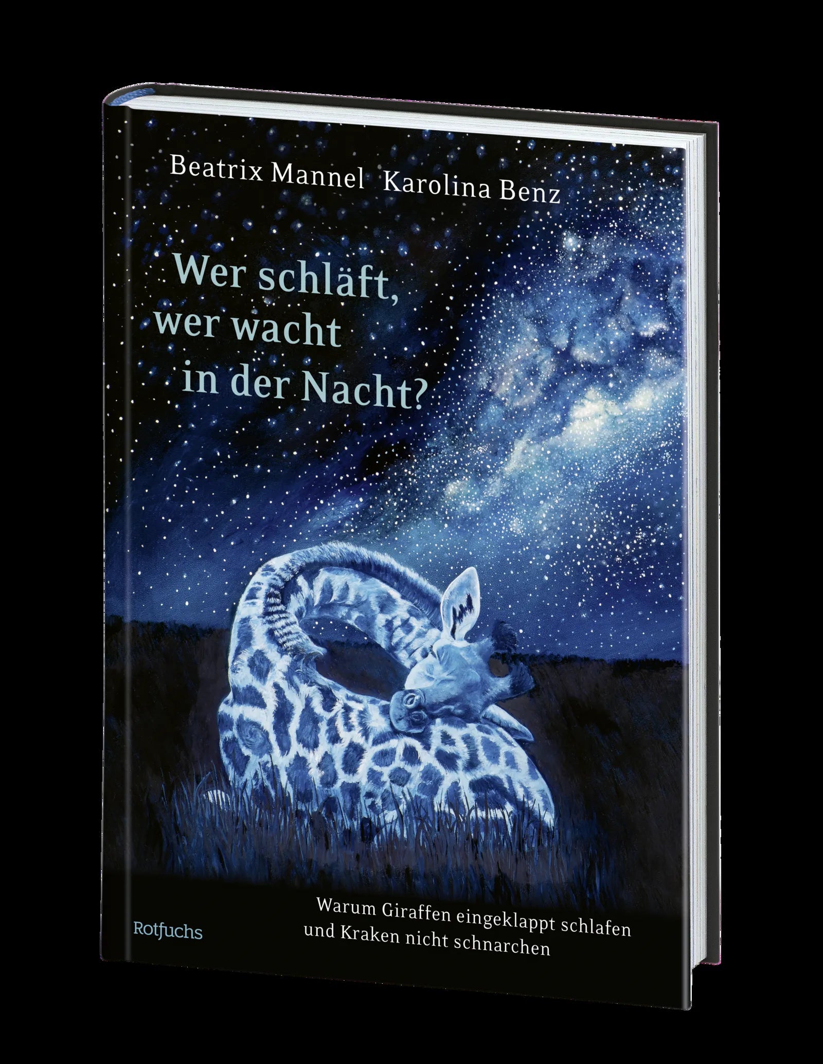 Produktansicht: Wer schläft, wer wacht in der Nacht? (Gebundene Ausgabe)