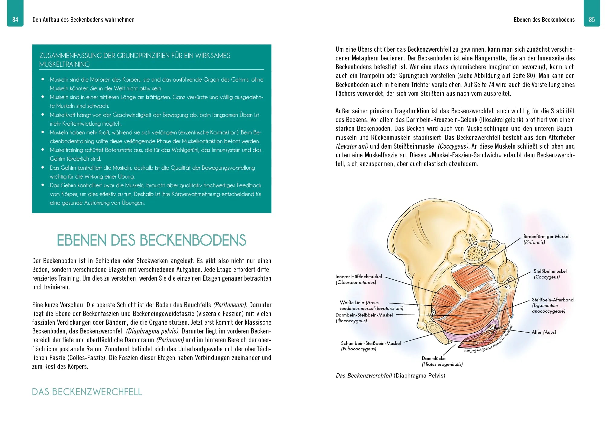 Innenansicht von 'Beckenbodenpower' - Taschenbuch