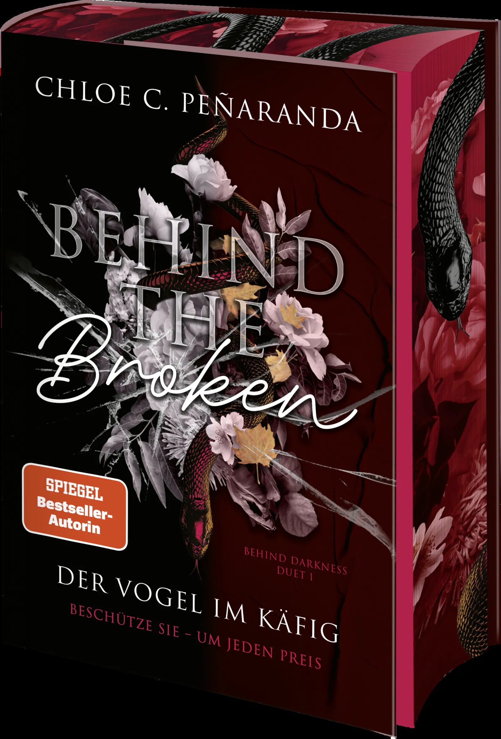 Detailansicht: Behind the Broken. Der Vogel im Käfig (Hardcover)