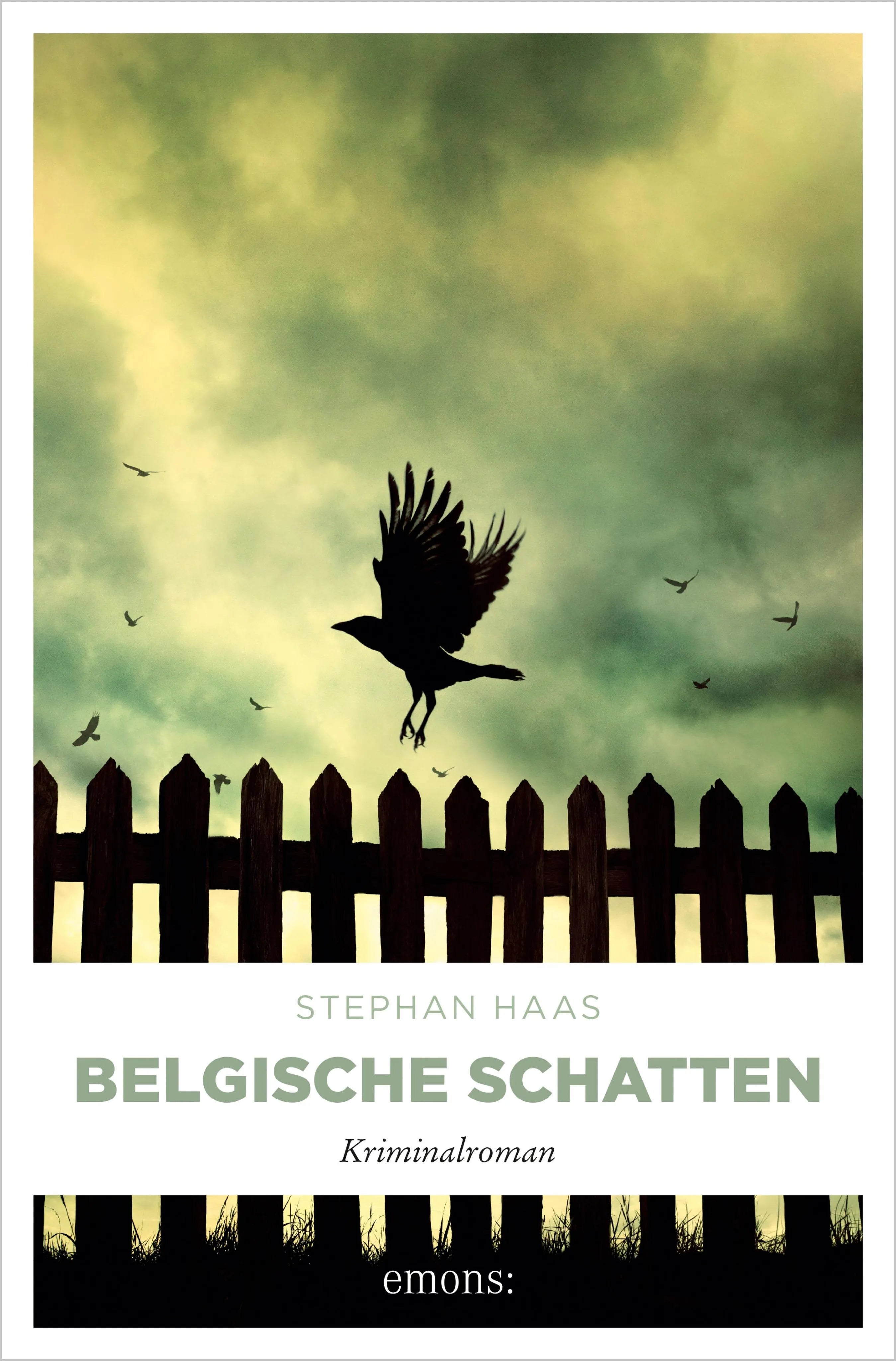 Cover: Belgische Schatten (E-Book) von Stephan Haas