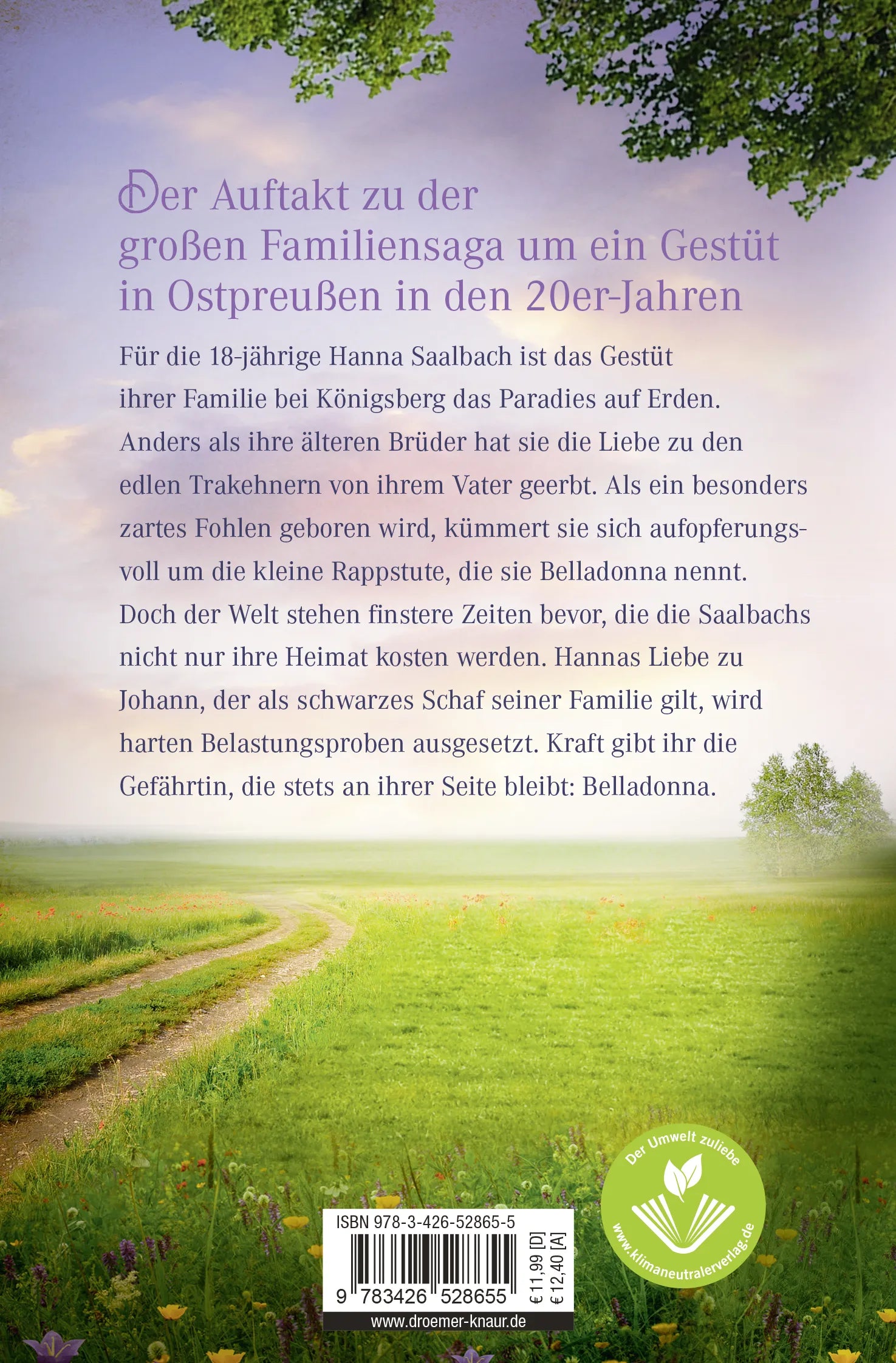 Buchrückseite von 'Belladonna. Gefährtinnen für immer' mit Klappentext - Taschenbuch