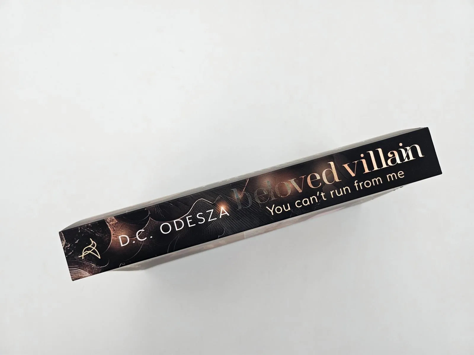 Detailansicht: Beloved Villain – You can't run from me (Paperback)