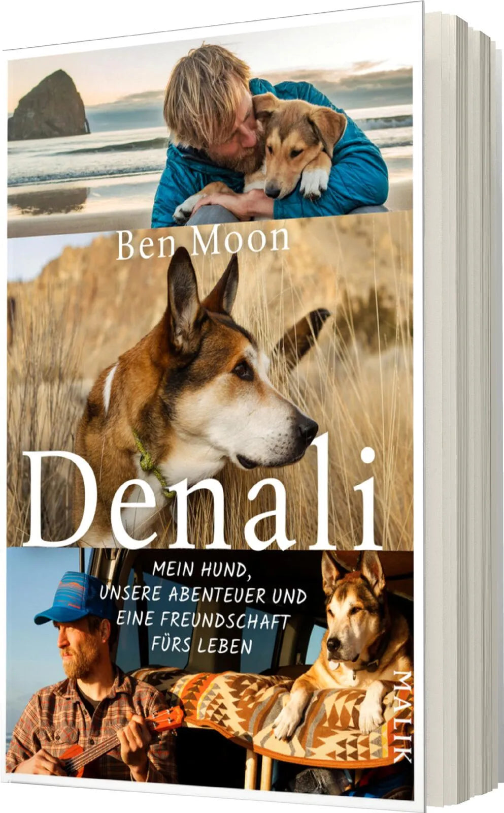 Produktansicht: Denali (Paperback)