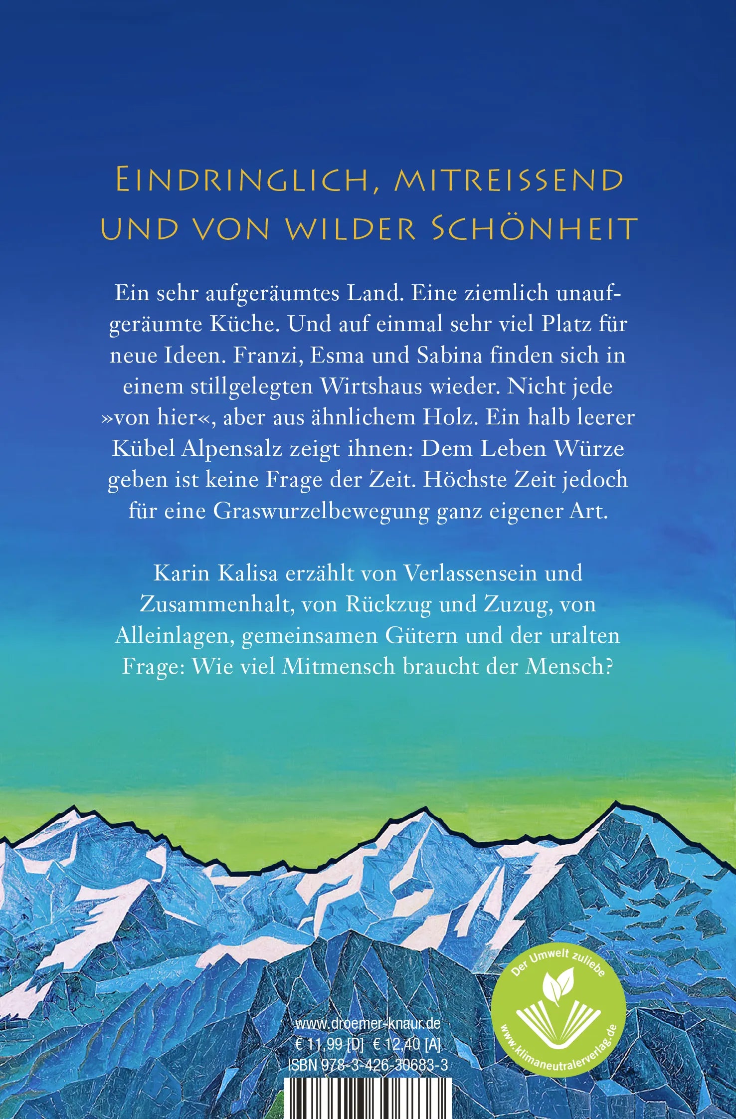 Buchrückseite von 'Bergsalz' mit Klappentext - Taschenbuch