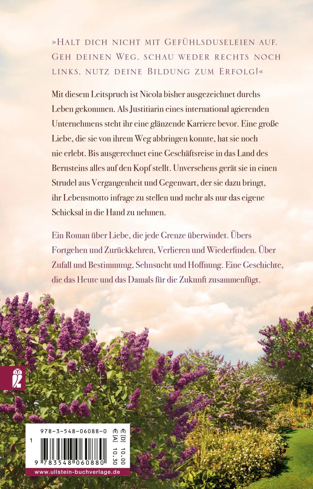 Buchrückseite von 'Bernsteintränen' mit Klappentext - Taschenbuch