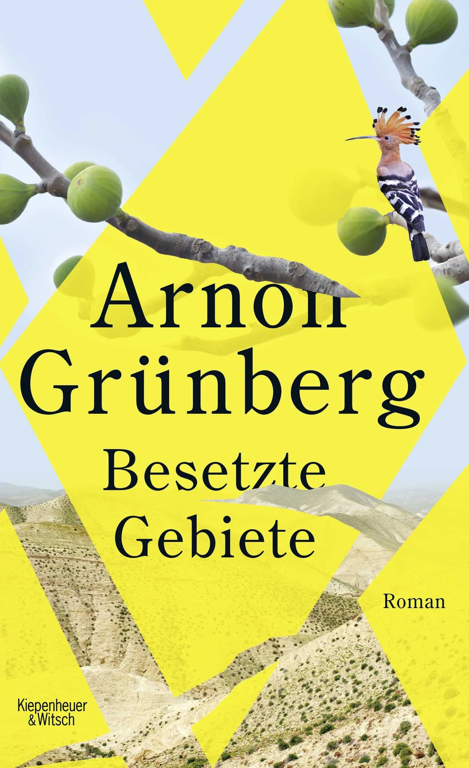 Buchcover von 'Besetzte Gebiete' - Gebundene Ausgabe von Arnon Grünberg