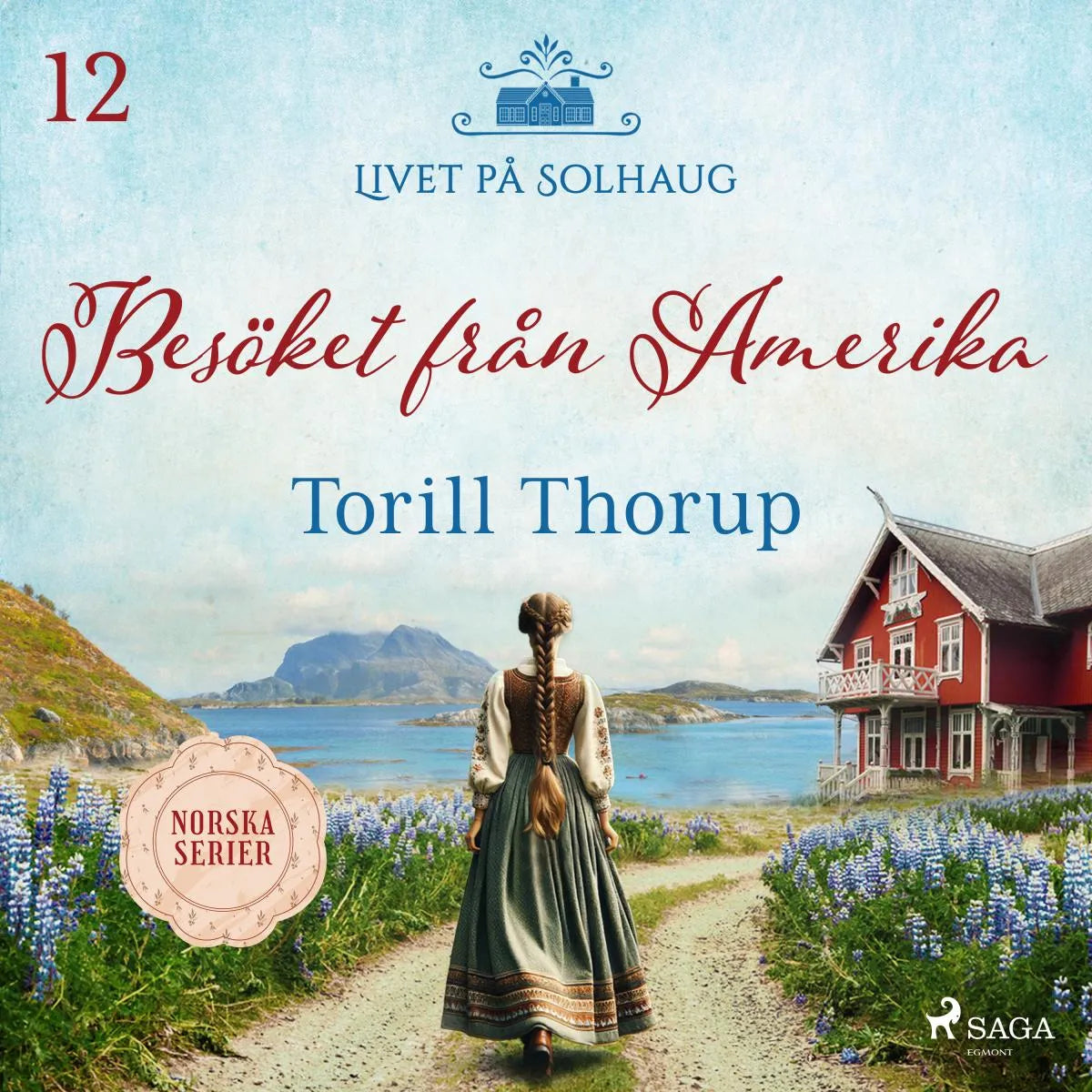Cover: Besöket från Amerika (Hörbuch Download) von Torill Thorup