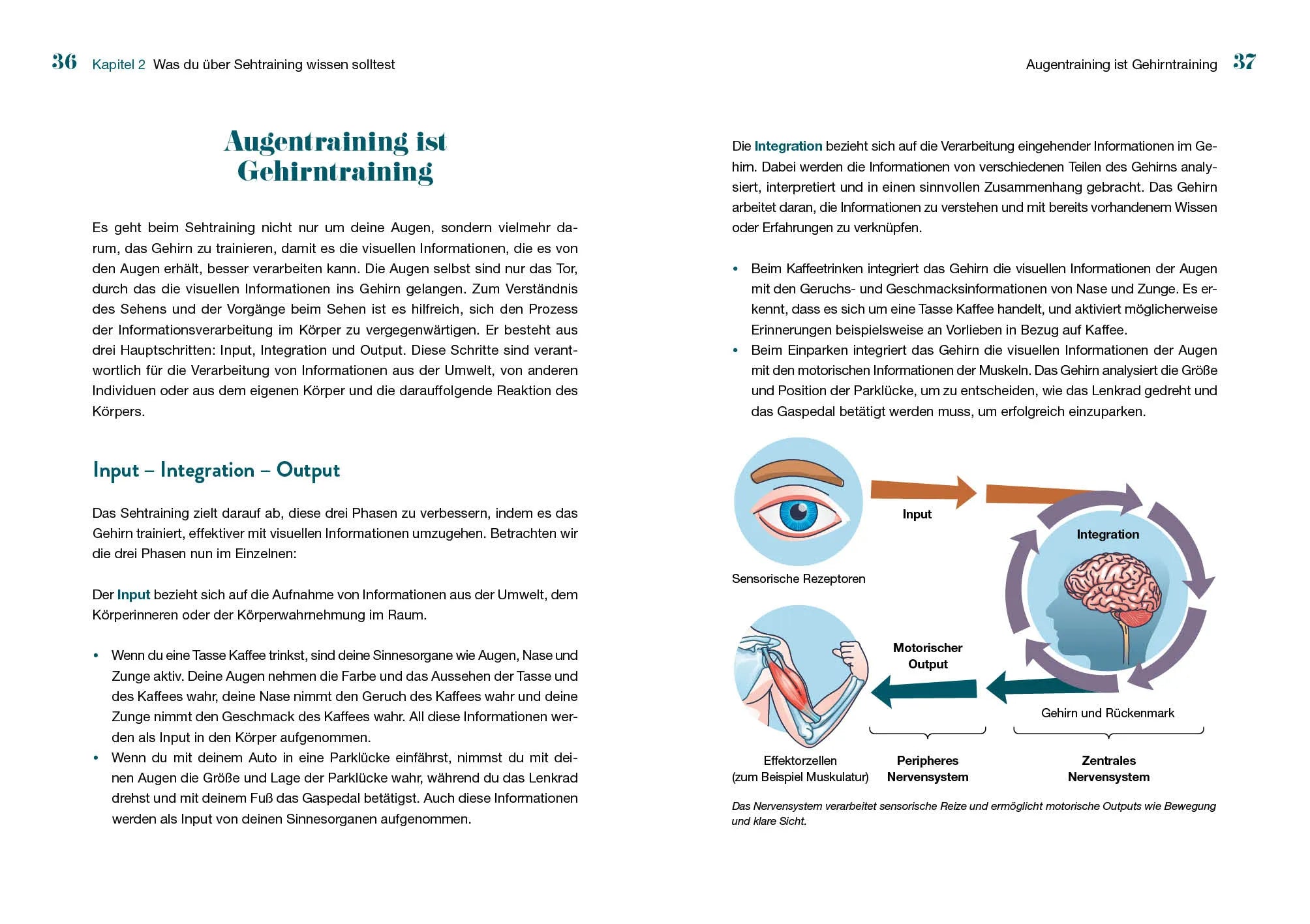 Innenansicht von 'Besser sehen in 21 Tagen' - Taschenbuch