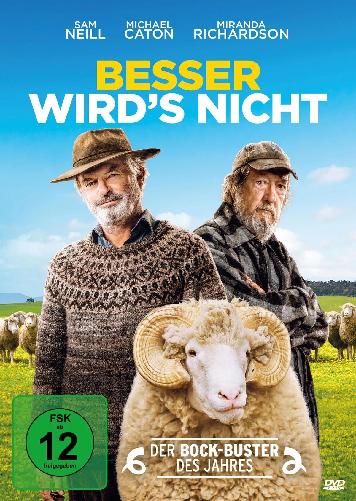 Besser wird's nicht - DVD