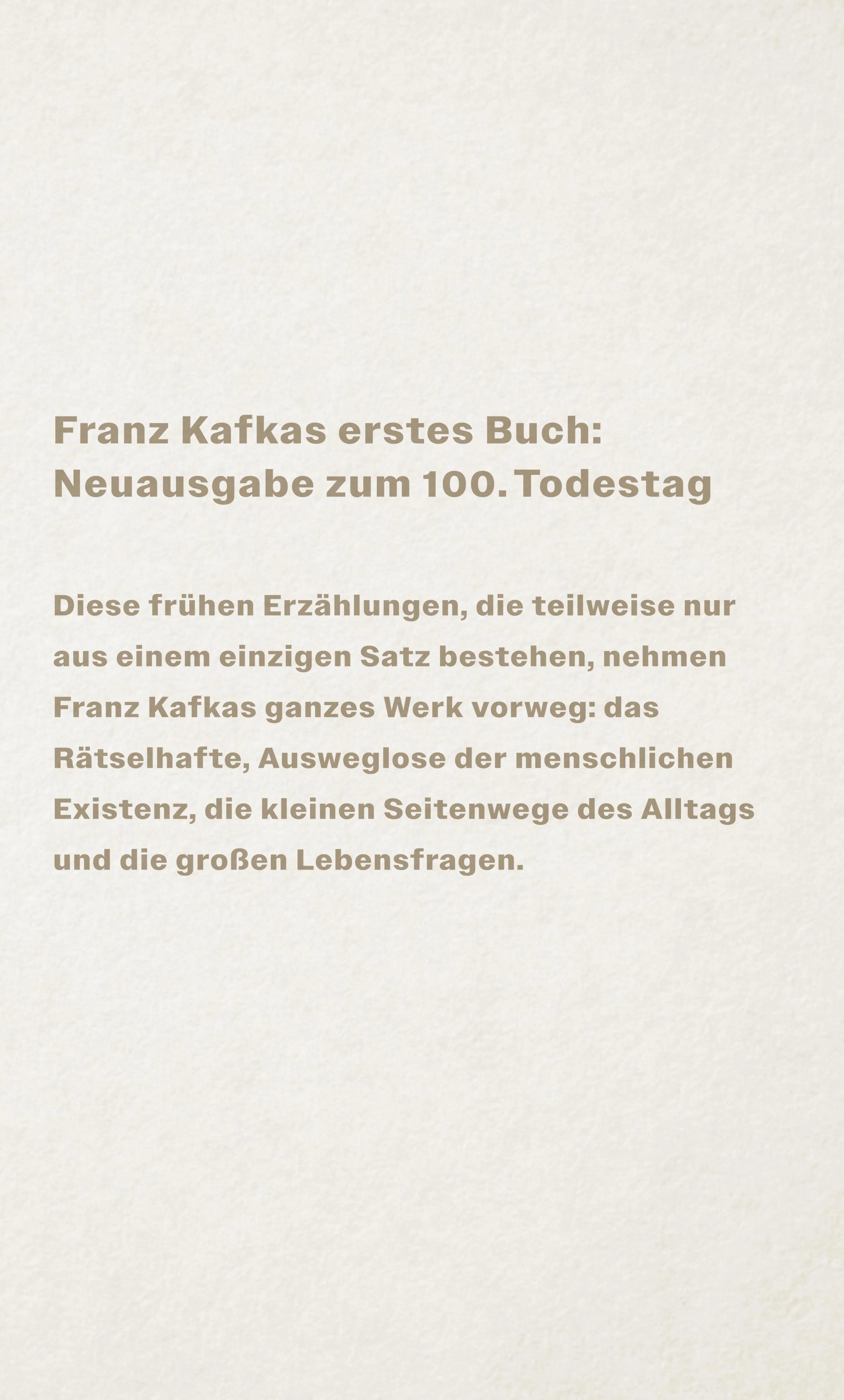 Buchrückseite von 'Betrachtung' mit Klappentext - Gebundene Ausgabe