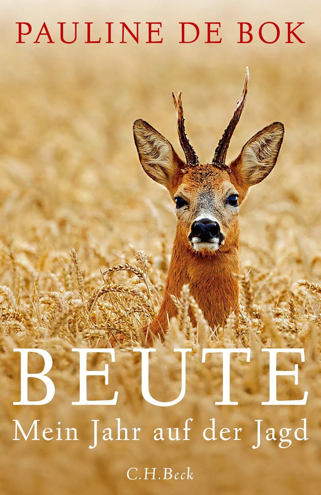 Buchcover von 'Beute' - Gebundene Ausgabe von Pauline Bok