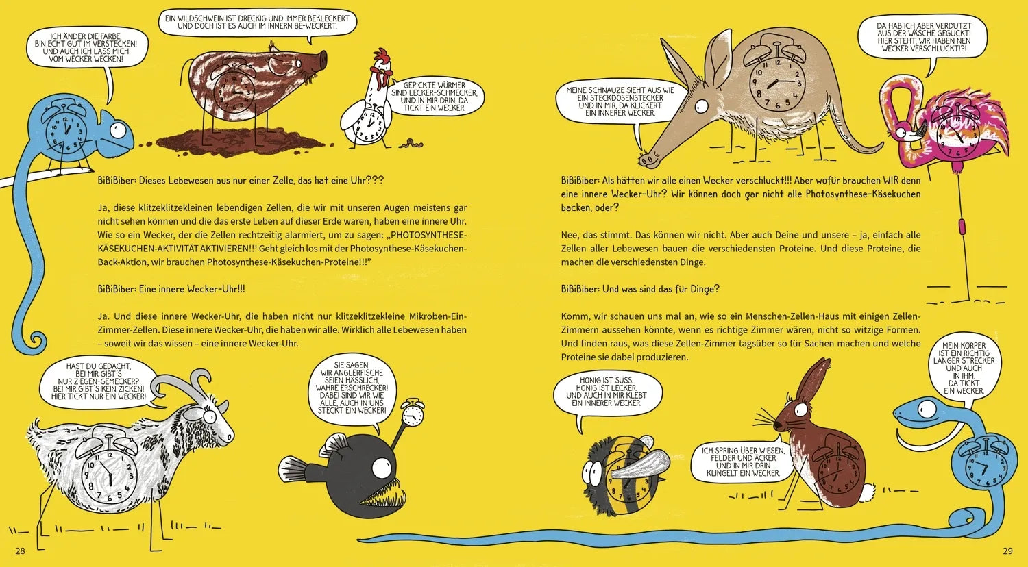 Detailansicht: BiBiBiber hat da mal ’ne Frage. Warum muss ich schlafen? (Hardcover)