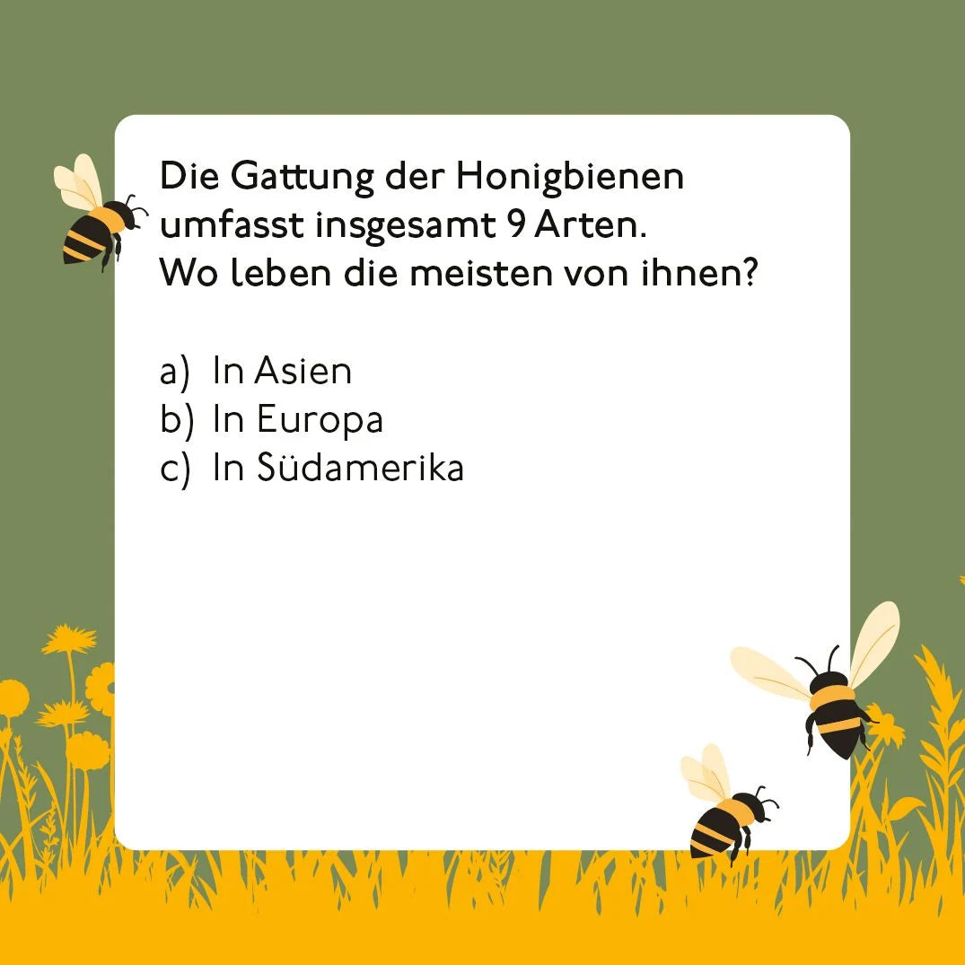 Bienen-Quiz – Ansicht