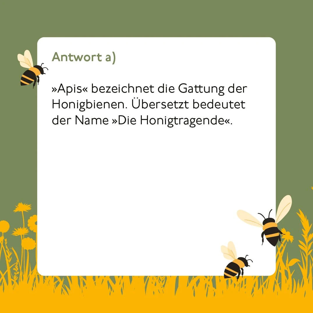 Bienen-Quiz – Ansicht