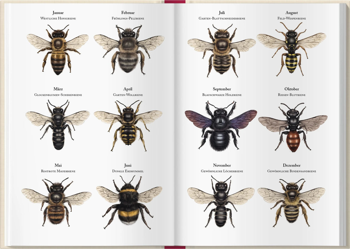 Bienenkalender 2027 – Ansicht