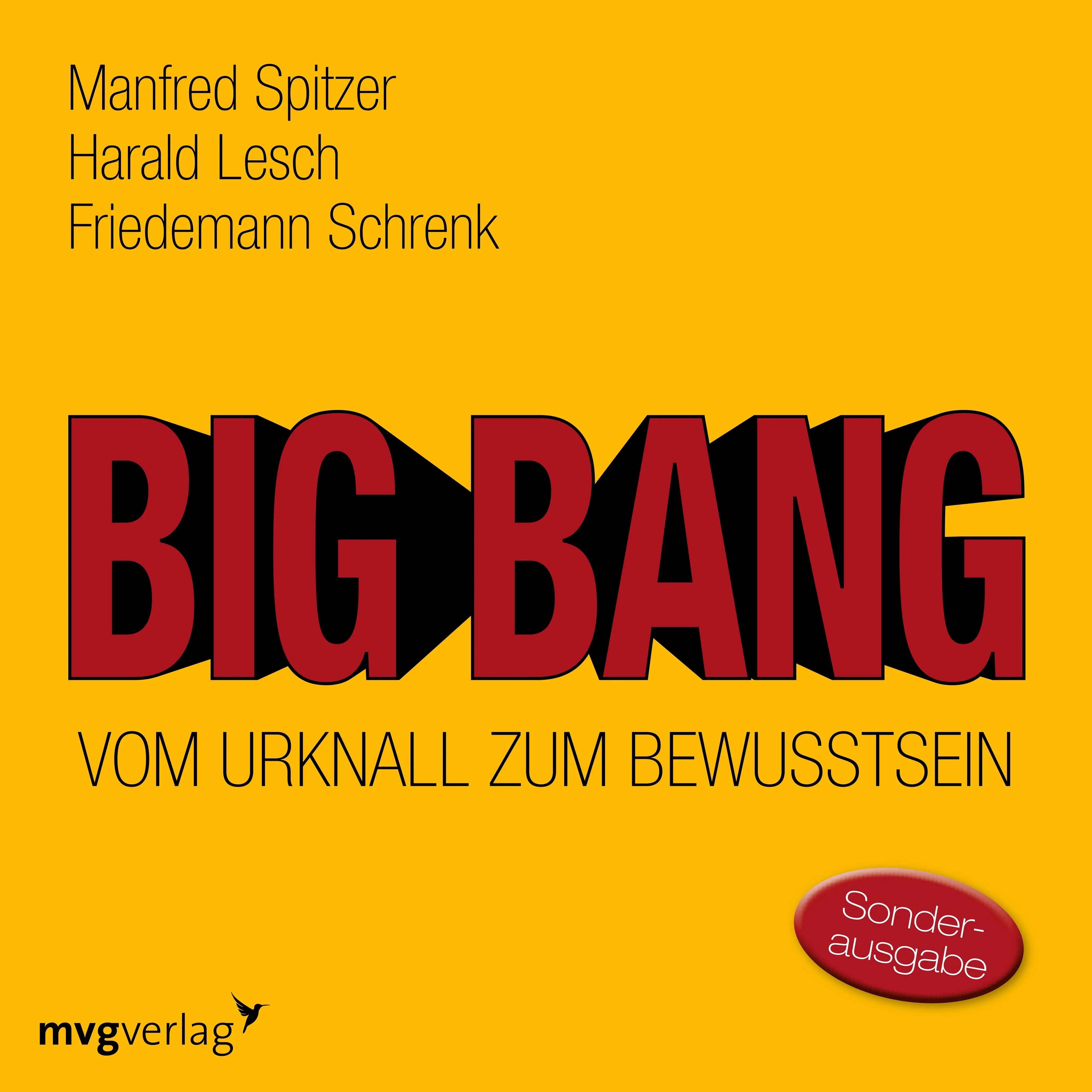 Buchcover von 'Big Bang: Vom Urknall zum Bewusstsein' - HÃ¶rbuch (CD) von Manfred Spitzer