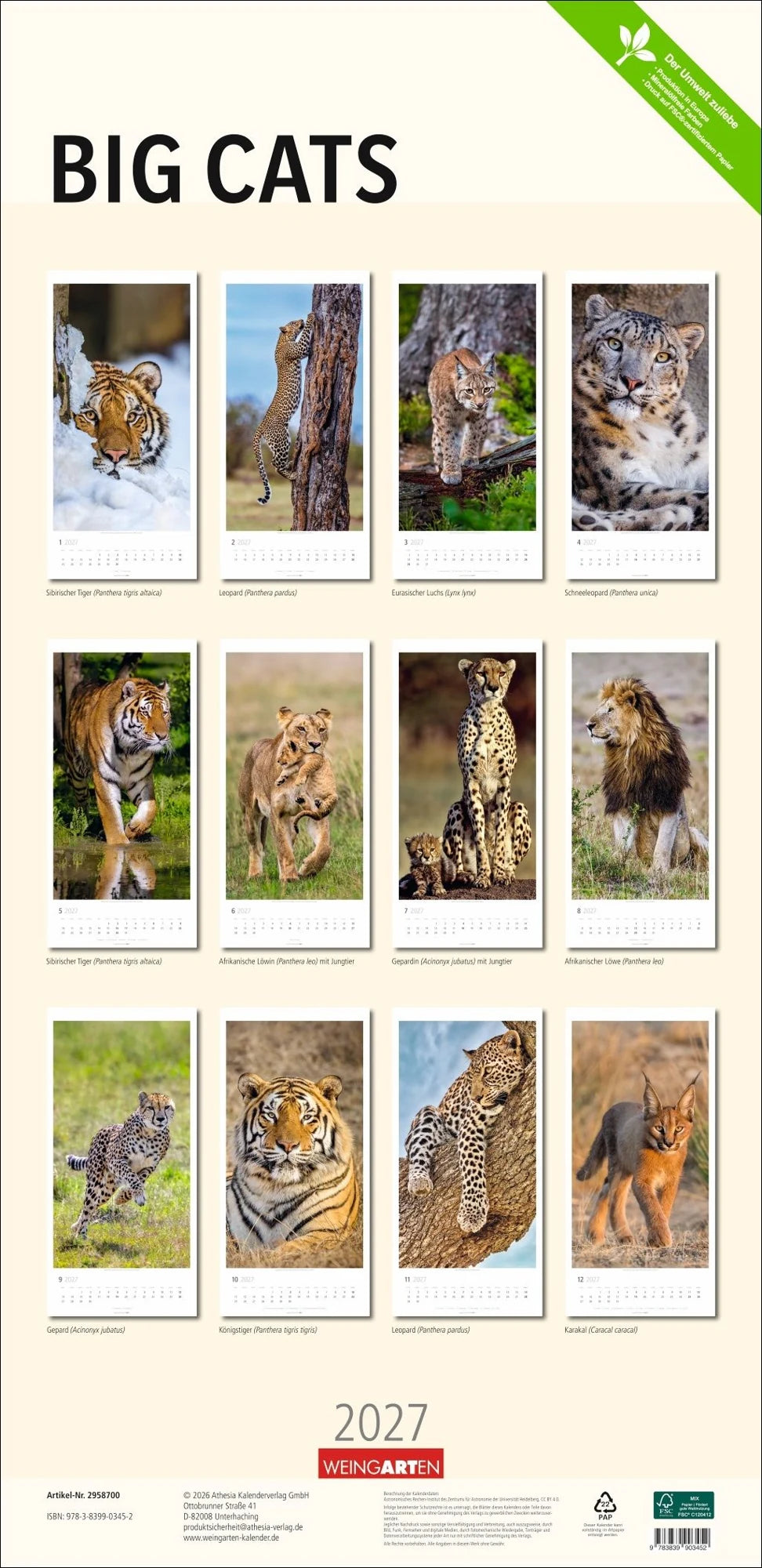 Big Cats Kalender 2027 – Ansicht