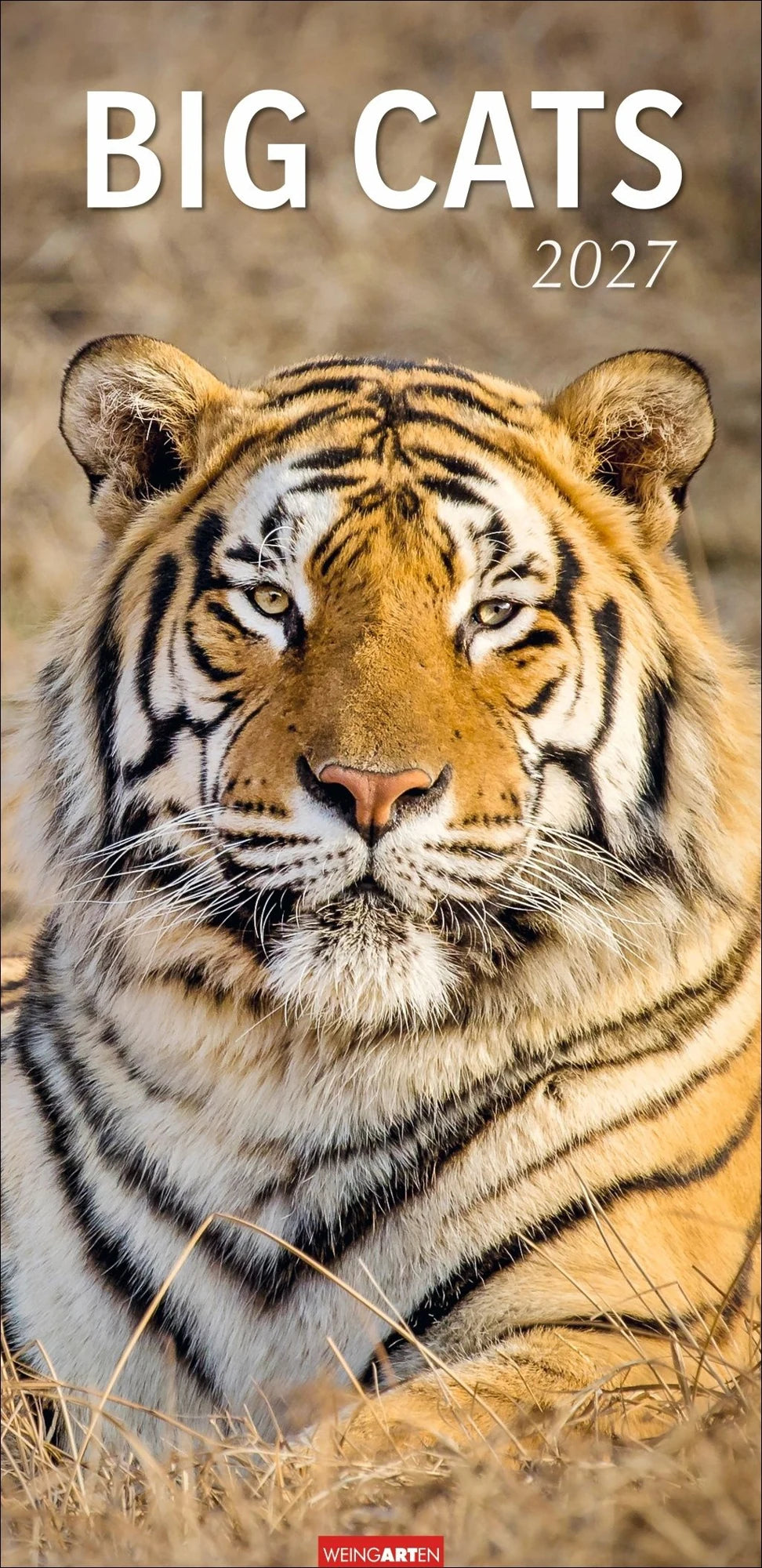 Wandkalender: Big Cats Kalender 2027