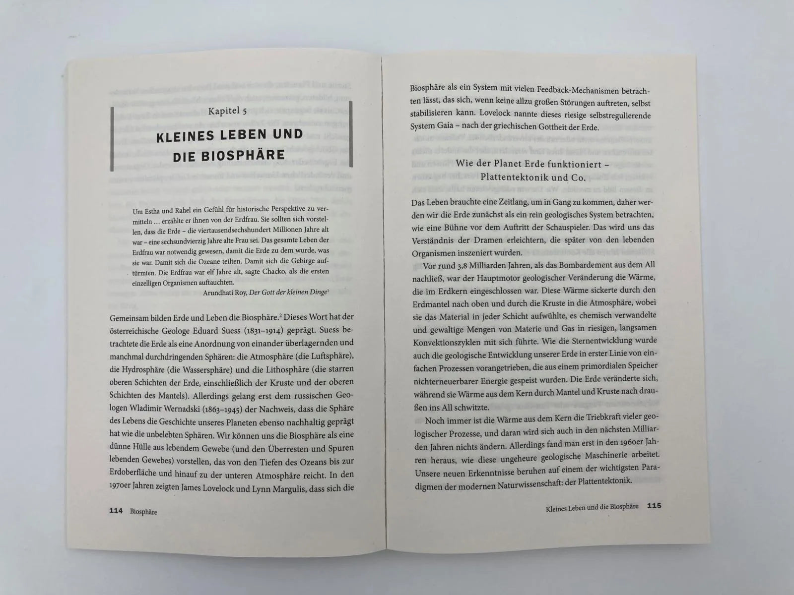 Abbildung von 'Big History'