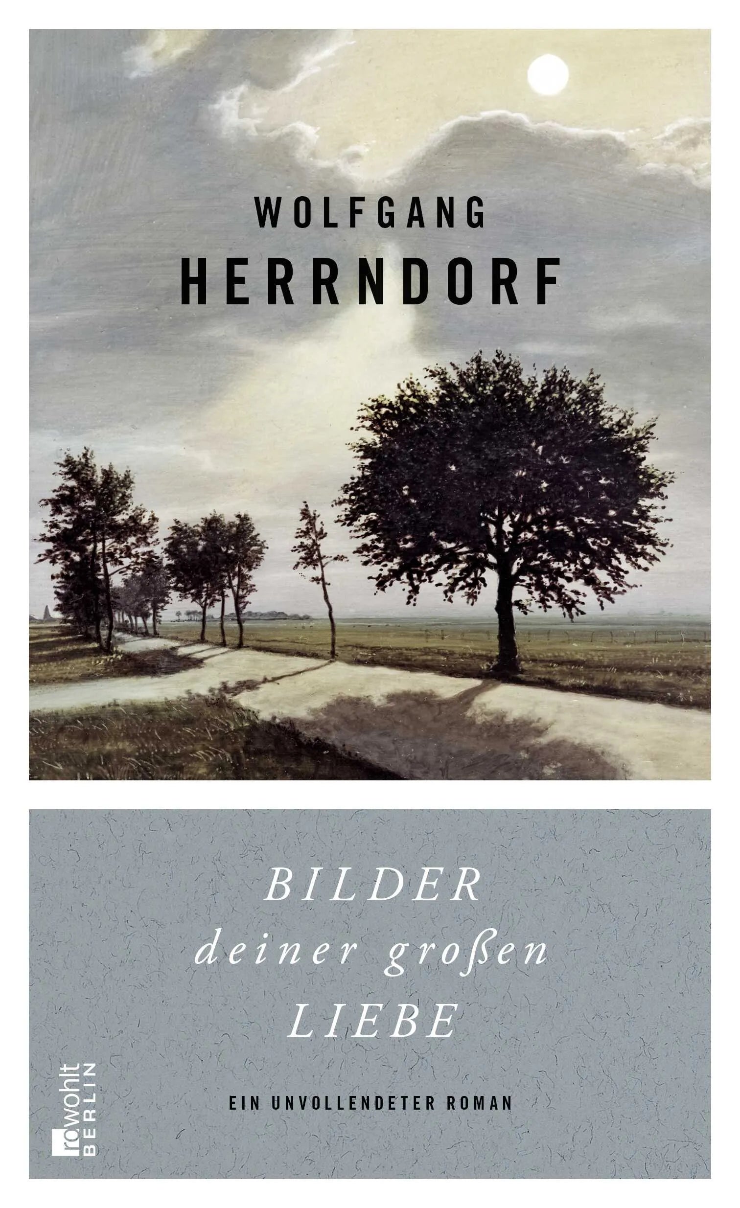 Buchcover von 'Bilder deiner großen Liebe' - Gebundene Ausgabe von Wolfgang Herrndorf