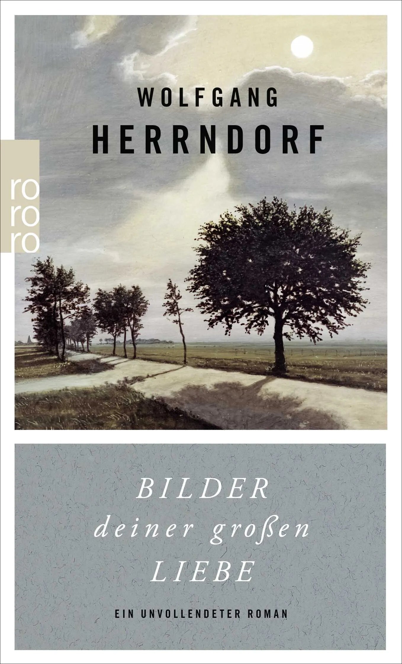Buchcover von 'Bilder deiner großen Liebe' - Taschenbuch von Wolfgang Herrndorf