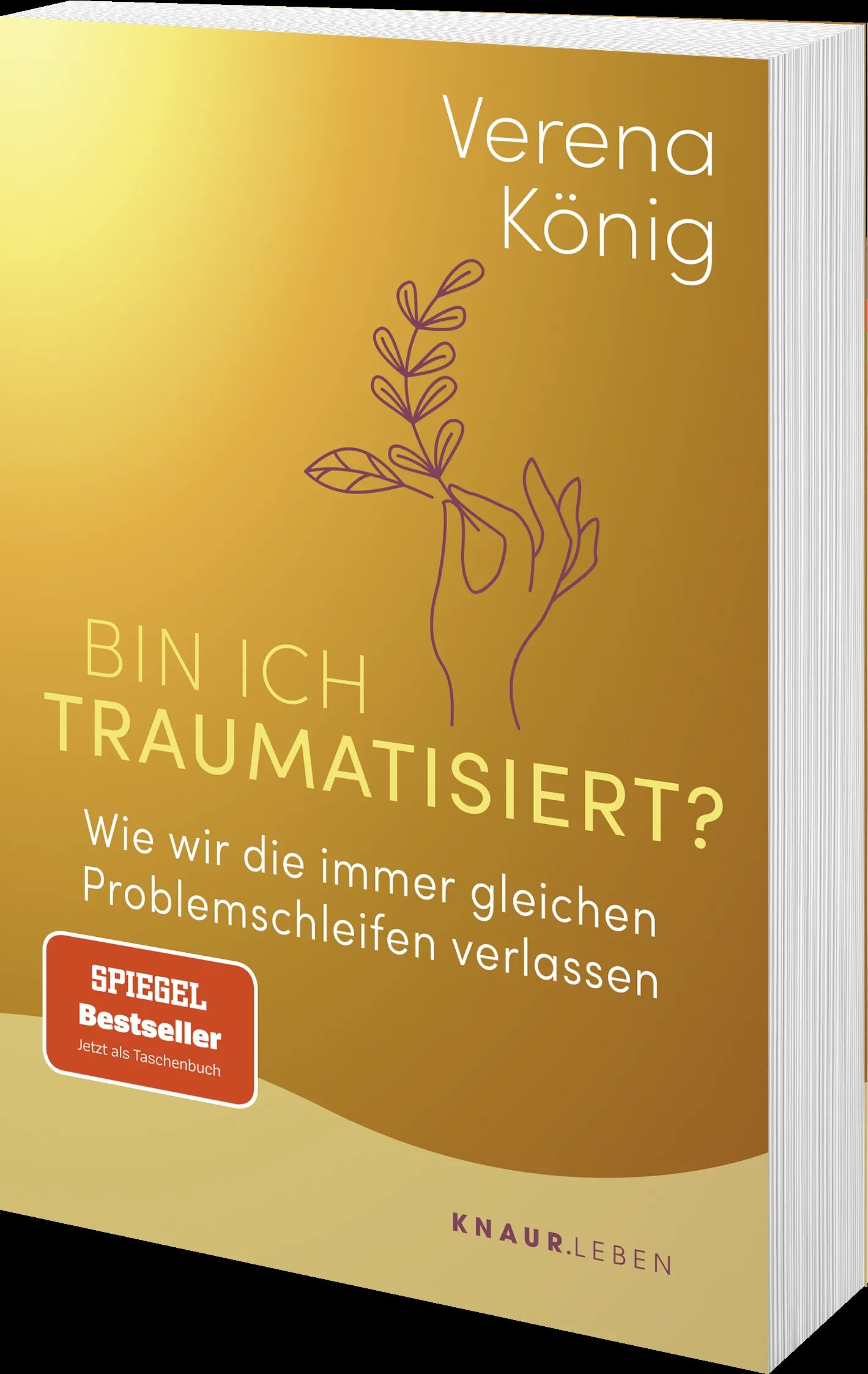 Produktansicht: Bin ich traumatisiert? (Taschenbuch)