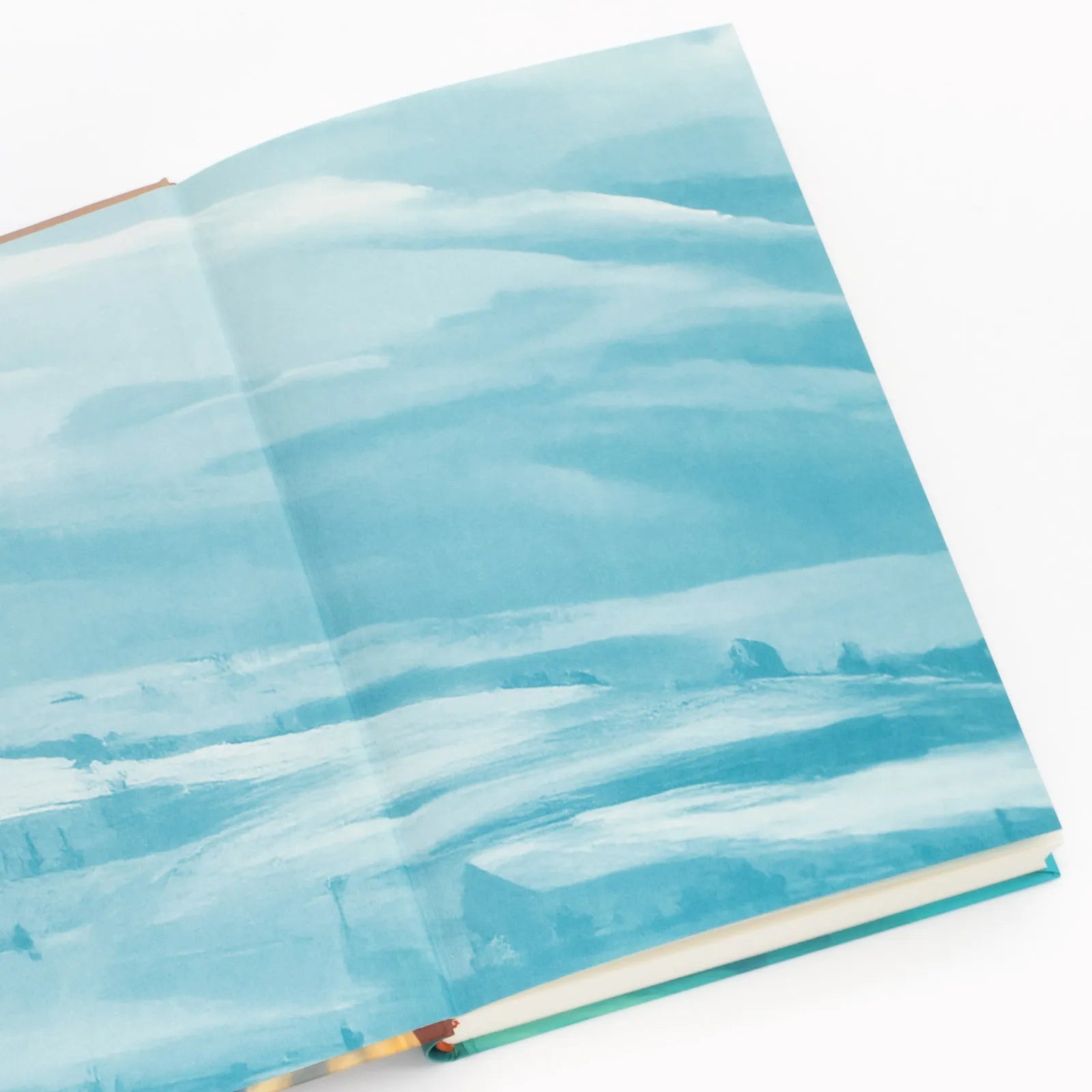Detailansicht: Birdie (Hardcover)