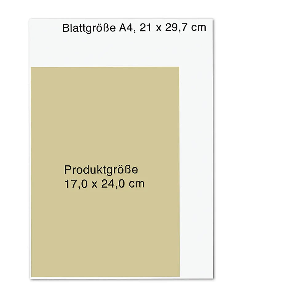 Produktansicht: Die Hexenschule (Gebundene Ausgabe)