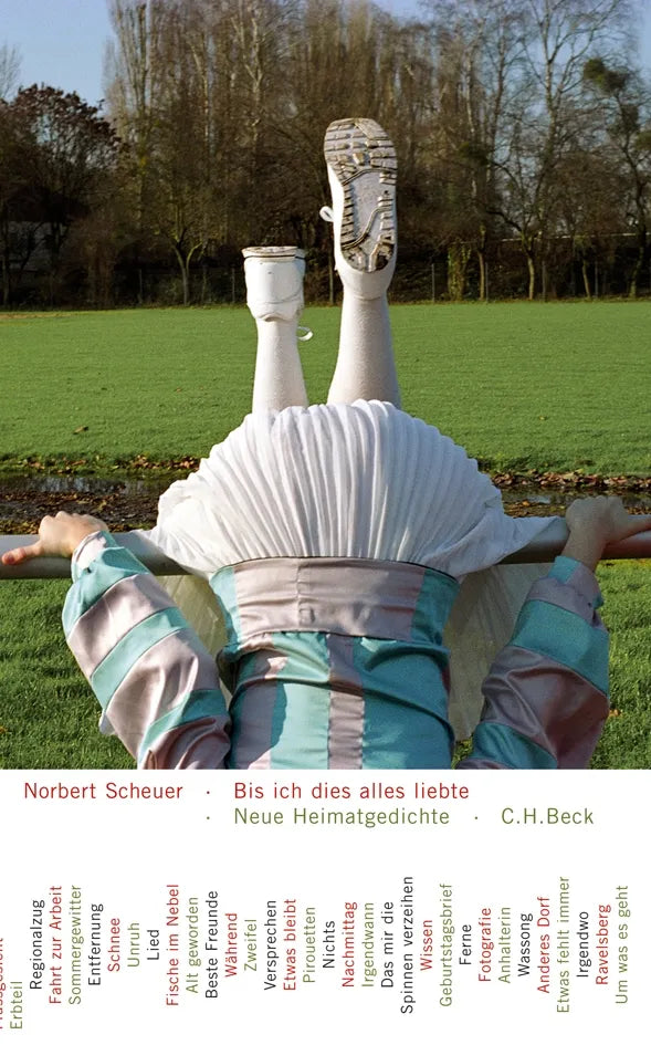 Buchcover von 'Bis ich dies alles liebte' - Gebundene Ausgabe von Norbert Scheuer