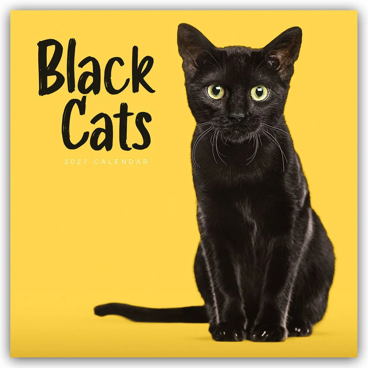 Wandkalender: Black Cats – Schwarze Katzen 2027 – Wand-Kalender