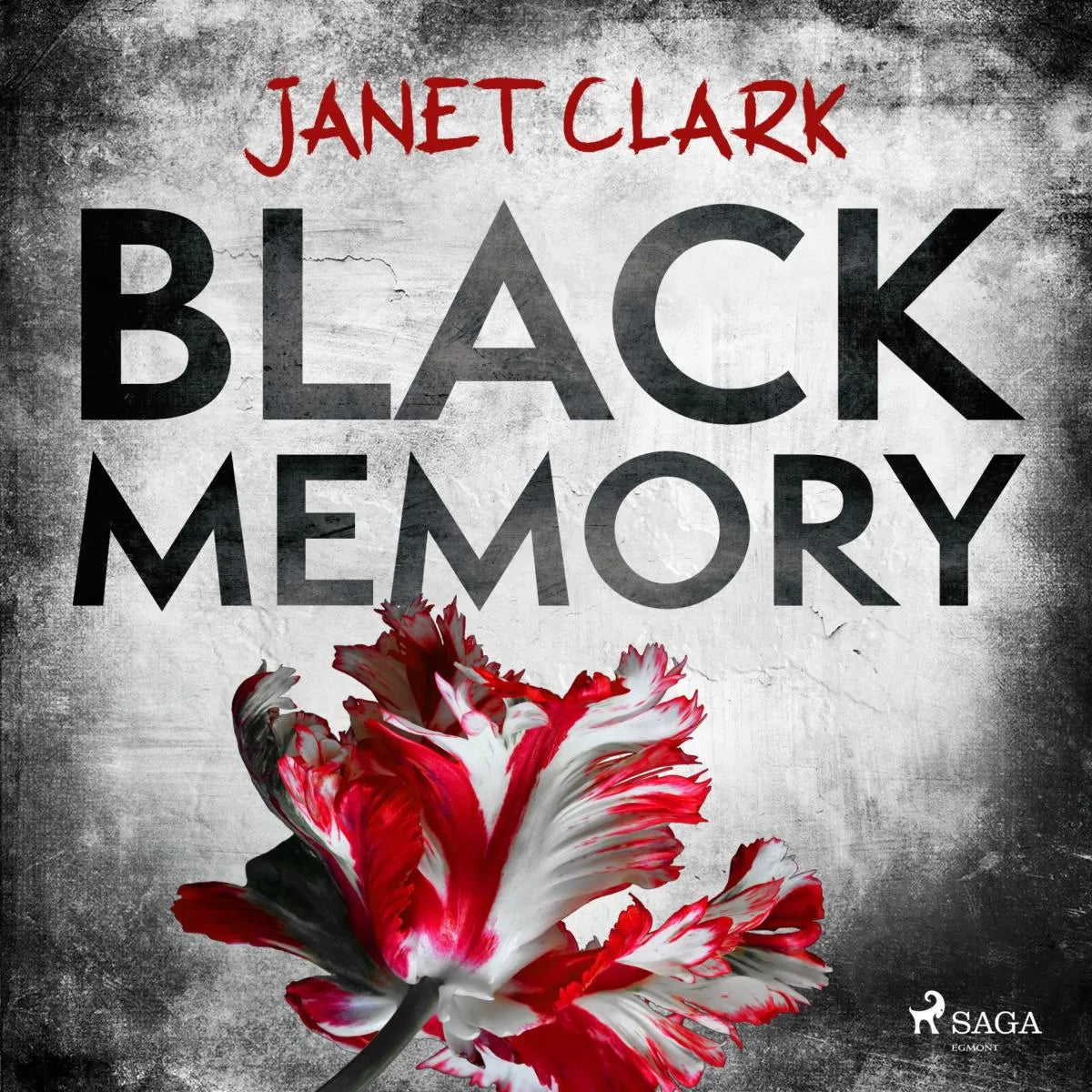 Cover: Black Memory (Hörbuch Download) von Janet Clark