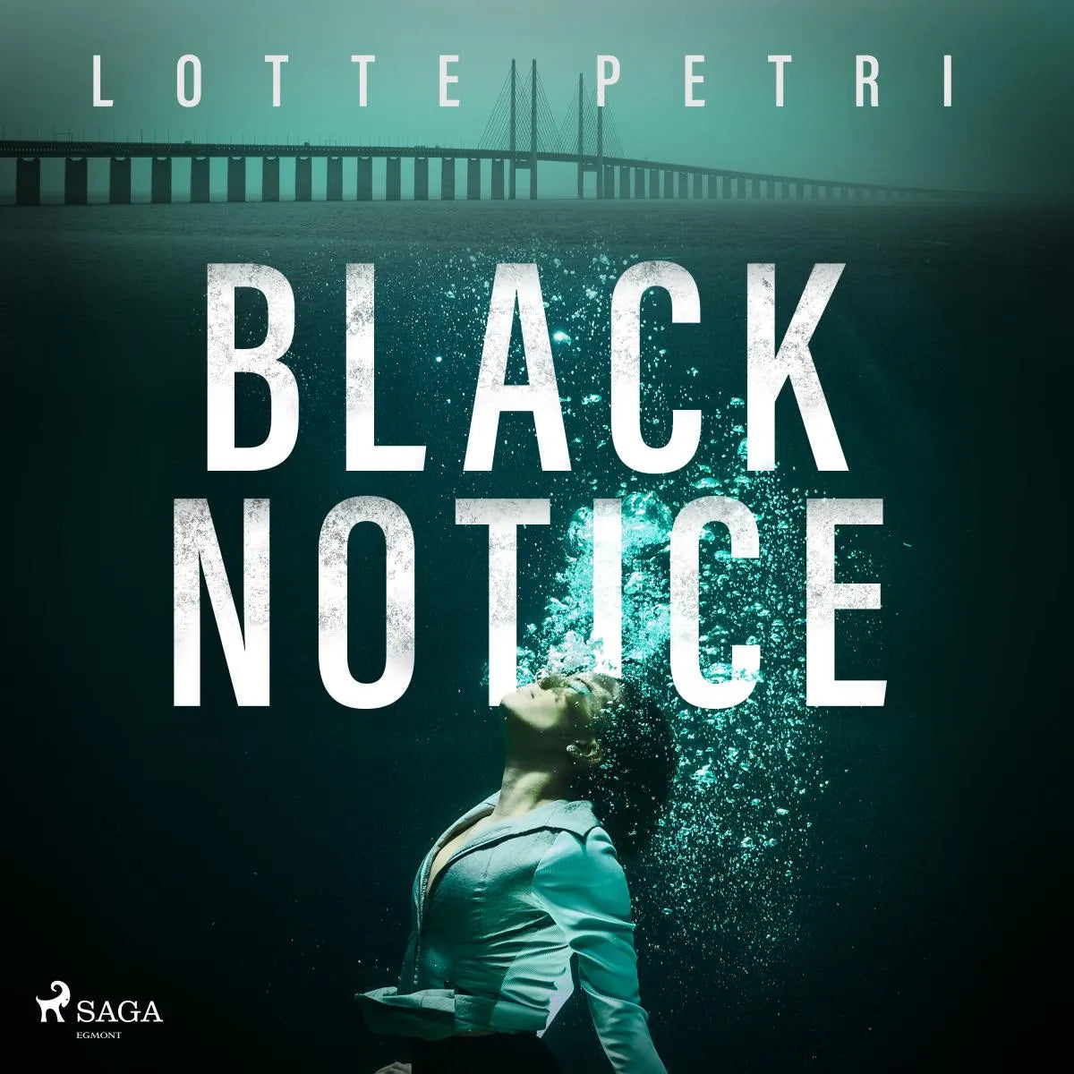 Cover: Black Notice (Hörbuch Download) von Lotte Petri