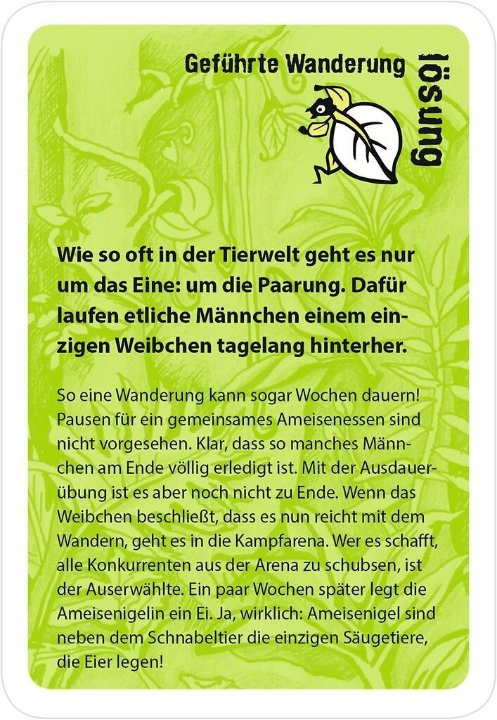 black stories junior Tierisch wild! – Ansicht