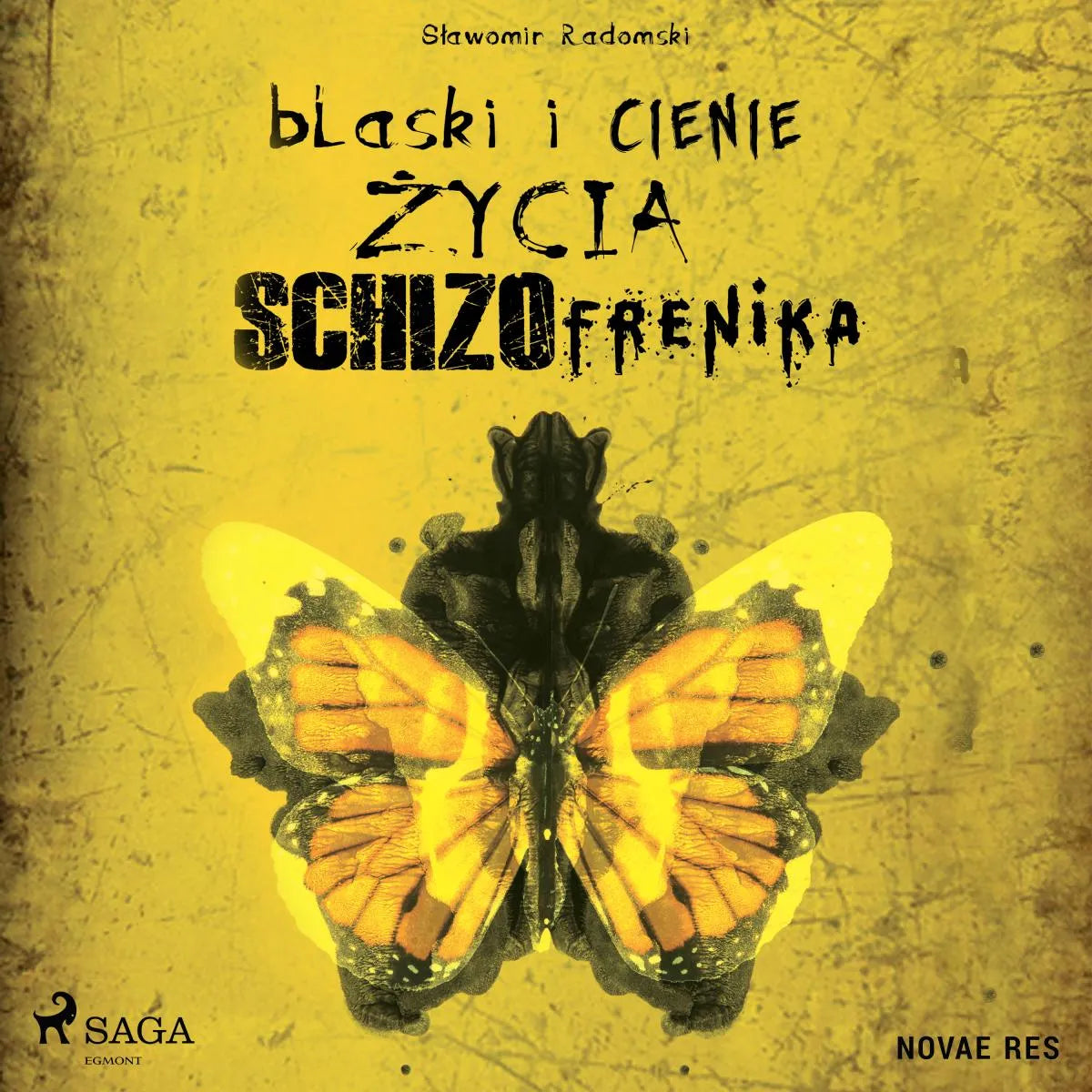 Cover: Blaski i cienie życia schizofrenika (Hörbuch Download) von Slawomir Radomski