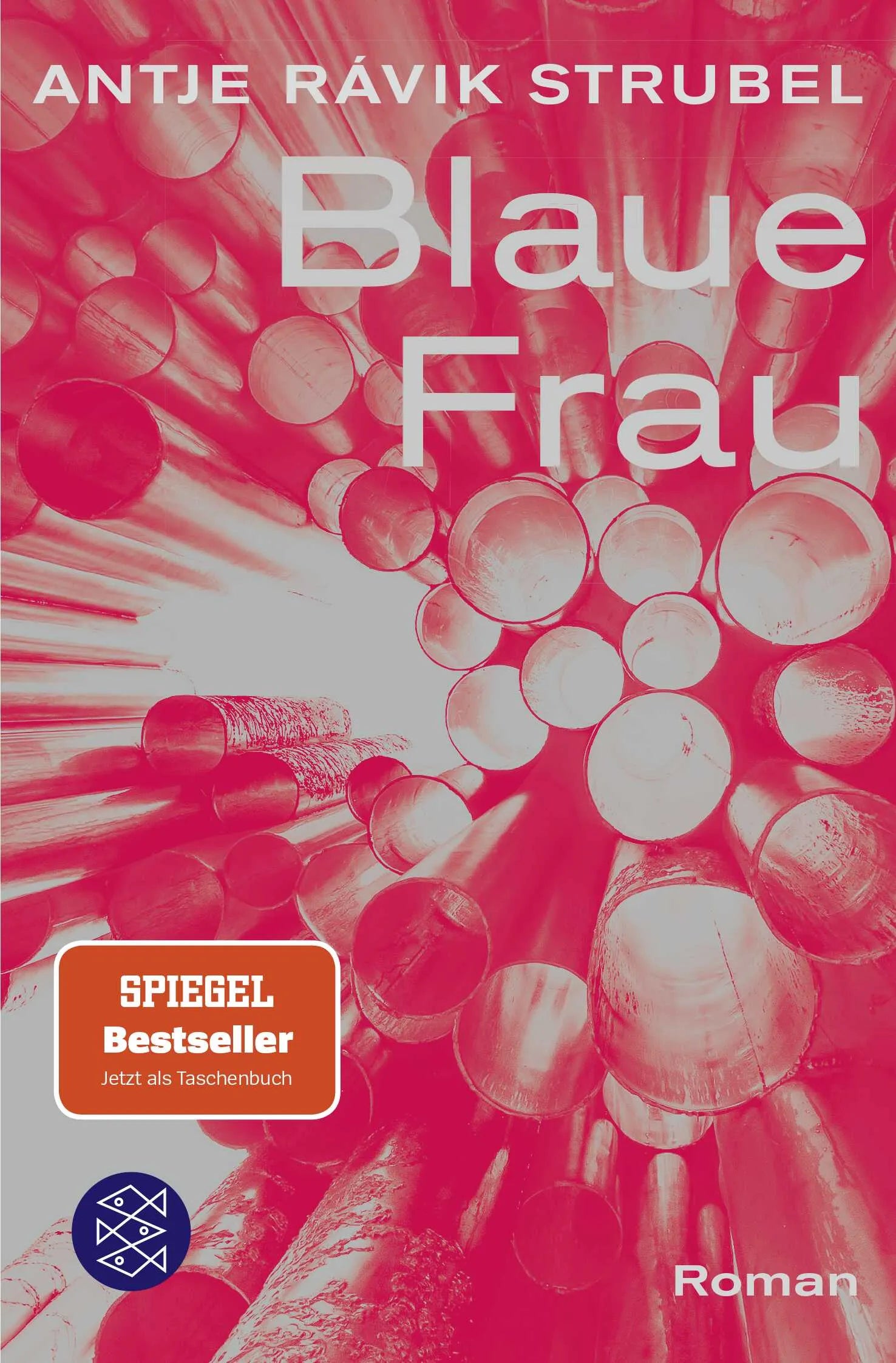 Buchcover von 'Blaue Frau' - Taschenbuch von Antje Rávik Strubel
