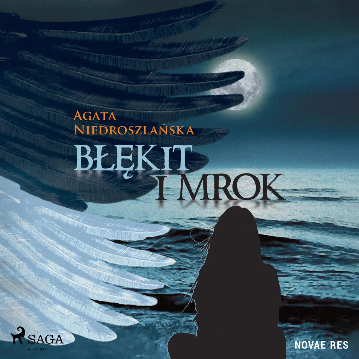 Cover: Błękit i mrok (Hörbuch Download) von Agata Niedroszlanska