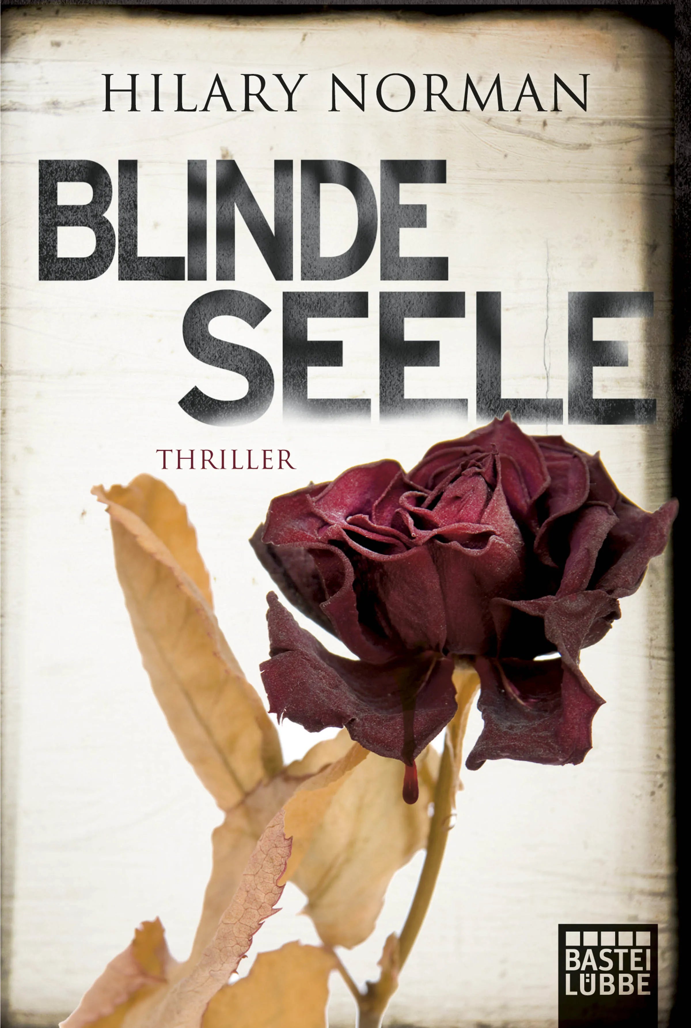 Buchcover von 'Blinde Seele' - Taschenbuch von Hilary Norman