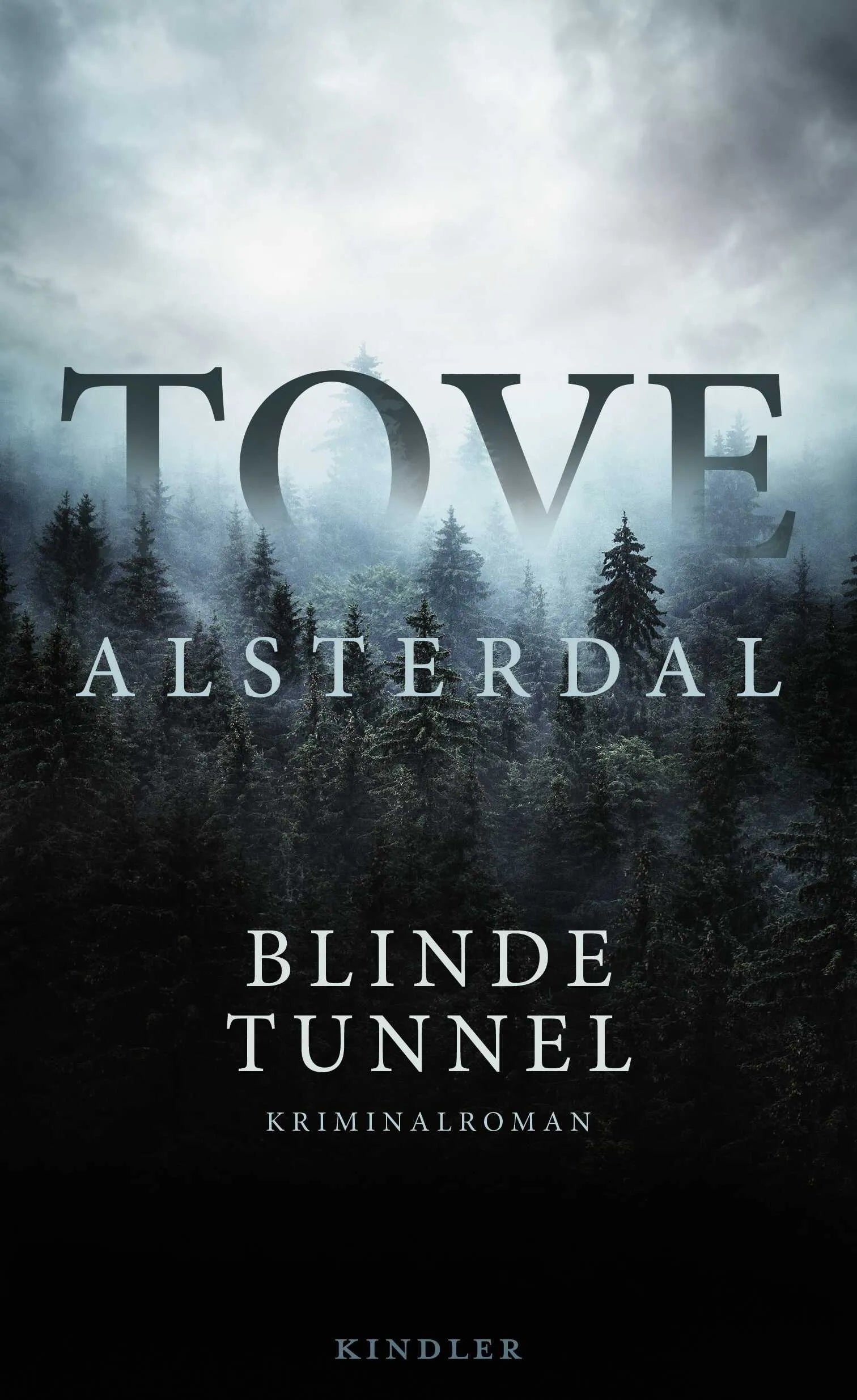 Buchcover von 'Blinde Tunnel' - Gebundene Ausgabe von Tove Alsterdal