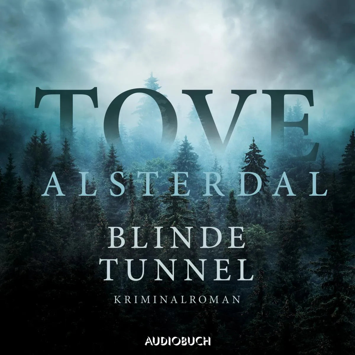 Cover: Blinde Tunnel (Hörbuch Download) von Tove Alsterdal