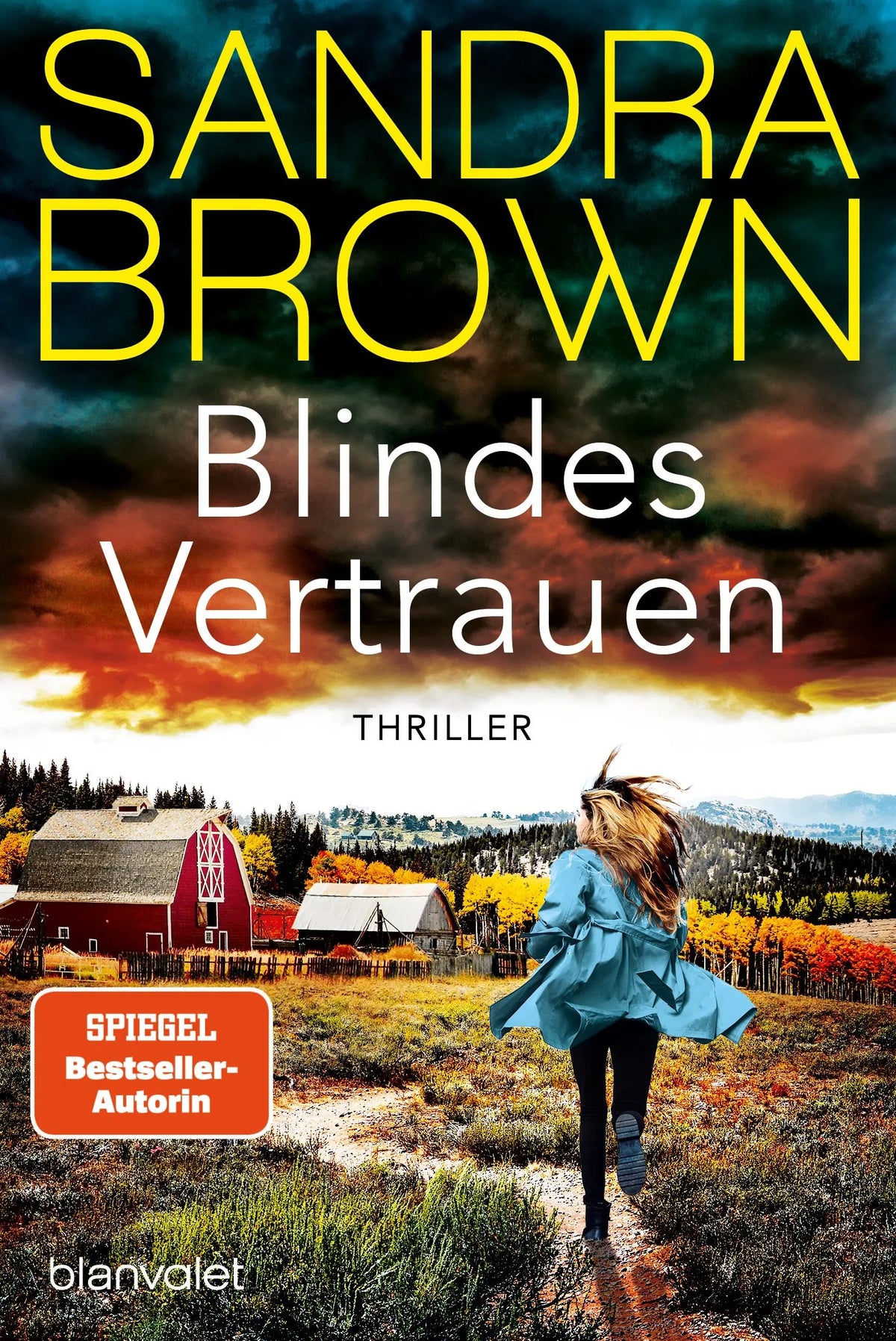 Cover: Blindes Vertrauen (Taschenbuch) von Sandra Brown