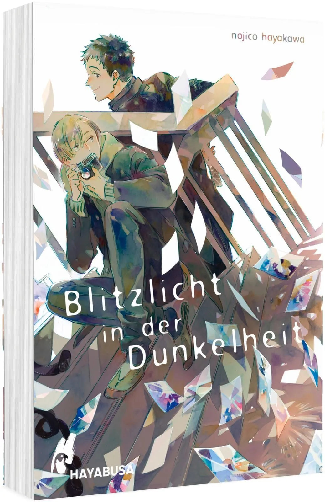 Cover: Blitzlicht in der Dunkelheit (Taschenbuch) von Nojico Hayakawa